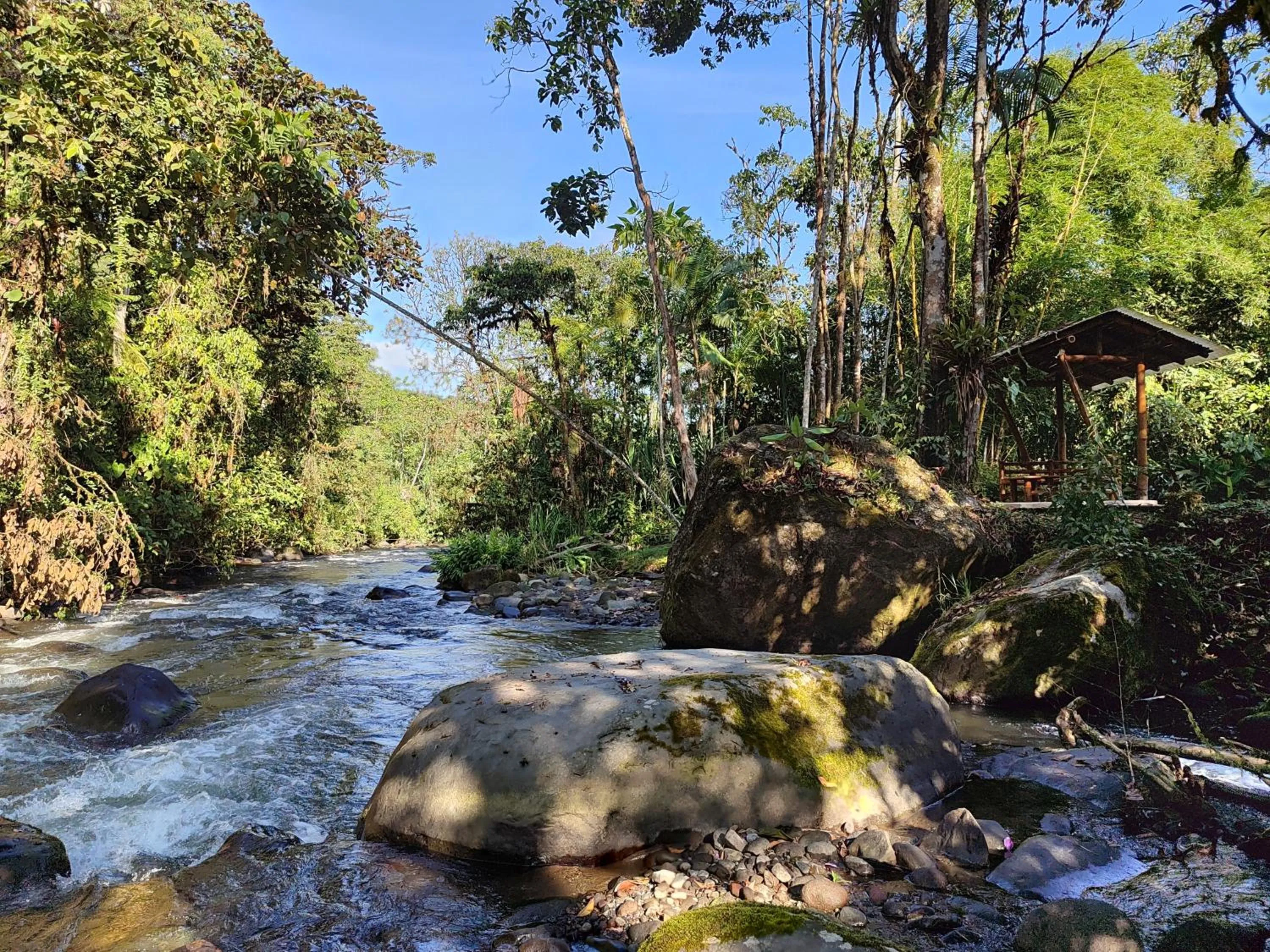 Off site in Mindo Garden Lodge and Wildlife Reserve