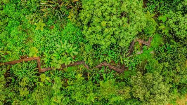 Natural landscape in Mindo Garden Lodge and Wildlife Reserve