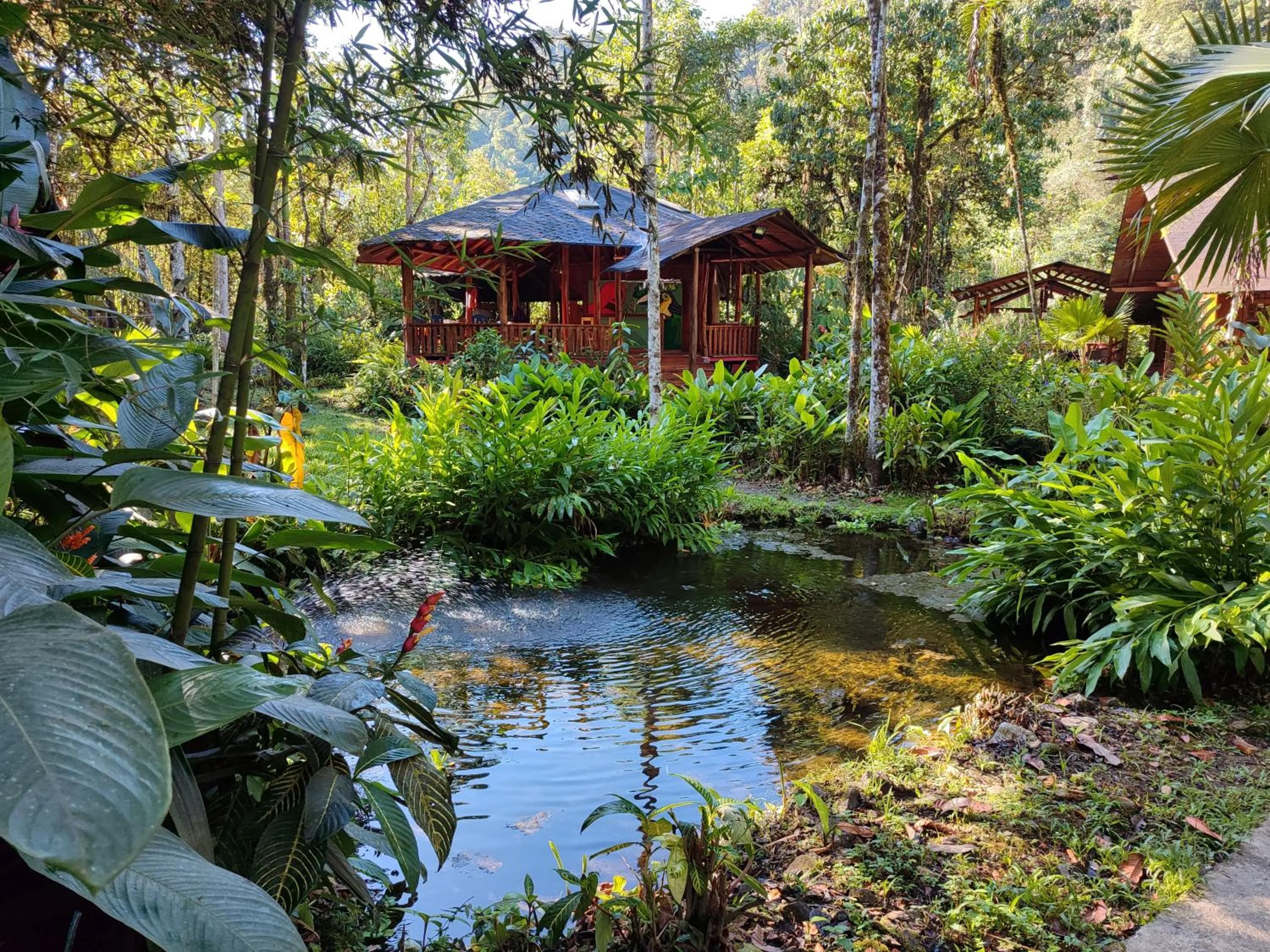 Property building in Mindo Garden Lodge and Wildlife Reserve
