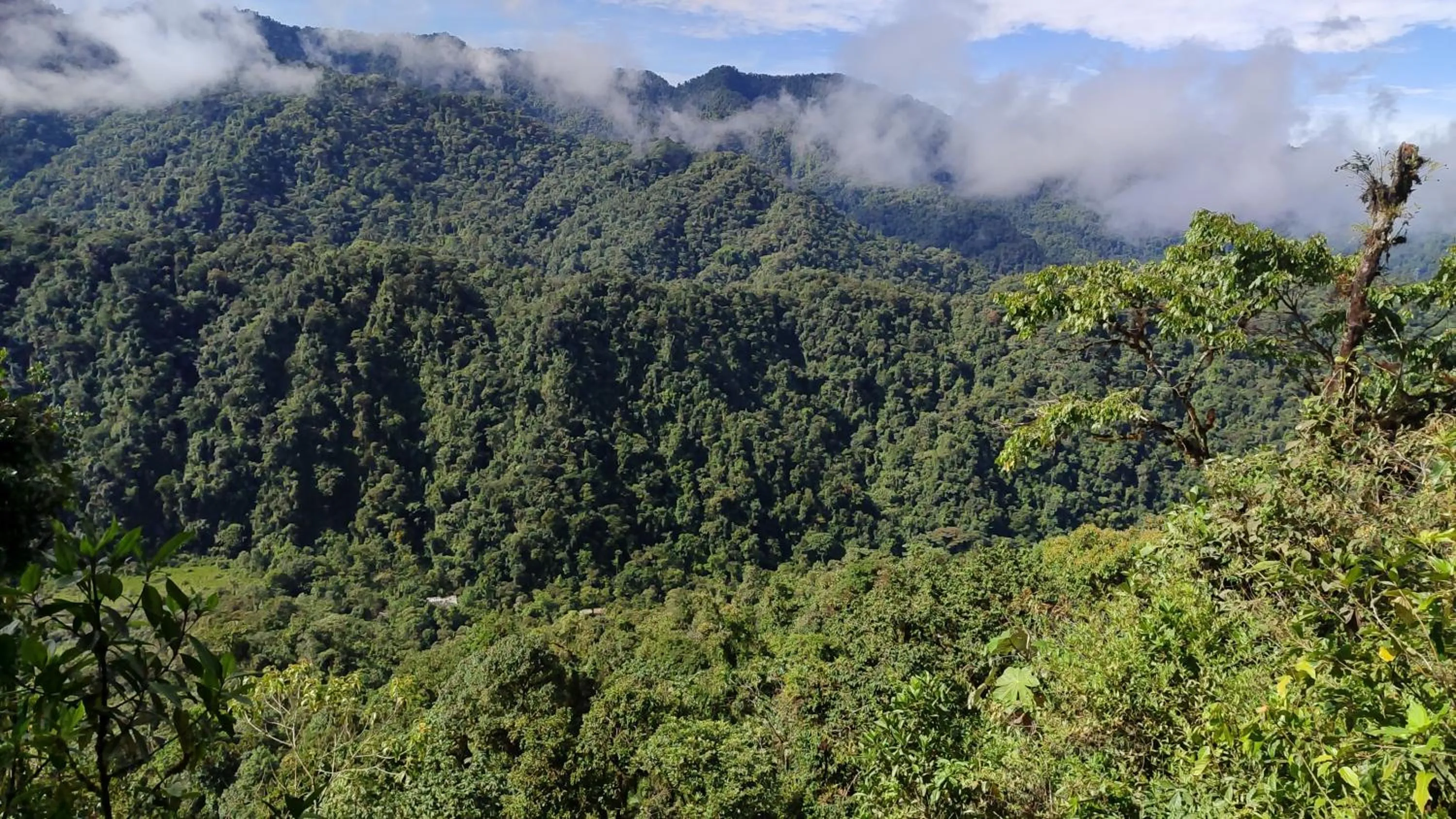 Nearby landmark in Mindo Garden Lodge and Wildlife Reserve