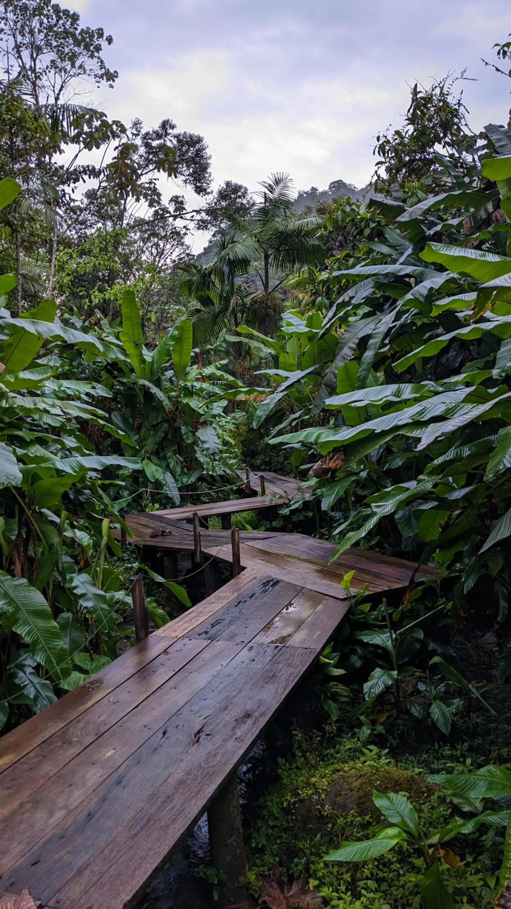 Off site in Mindo Garden Lodge and Wildlife Reserve