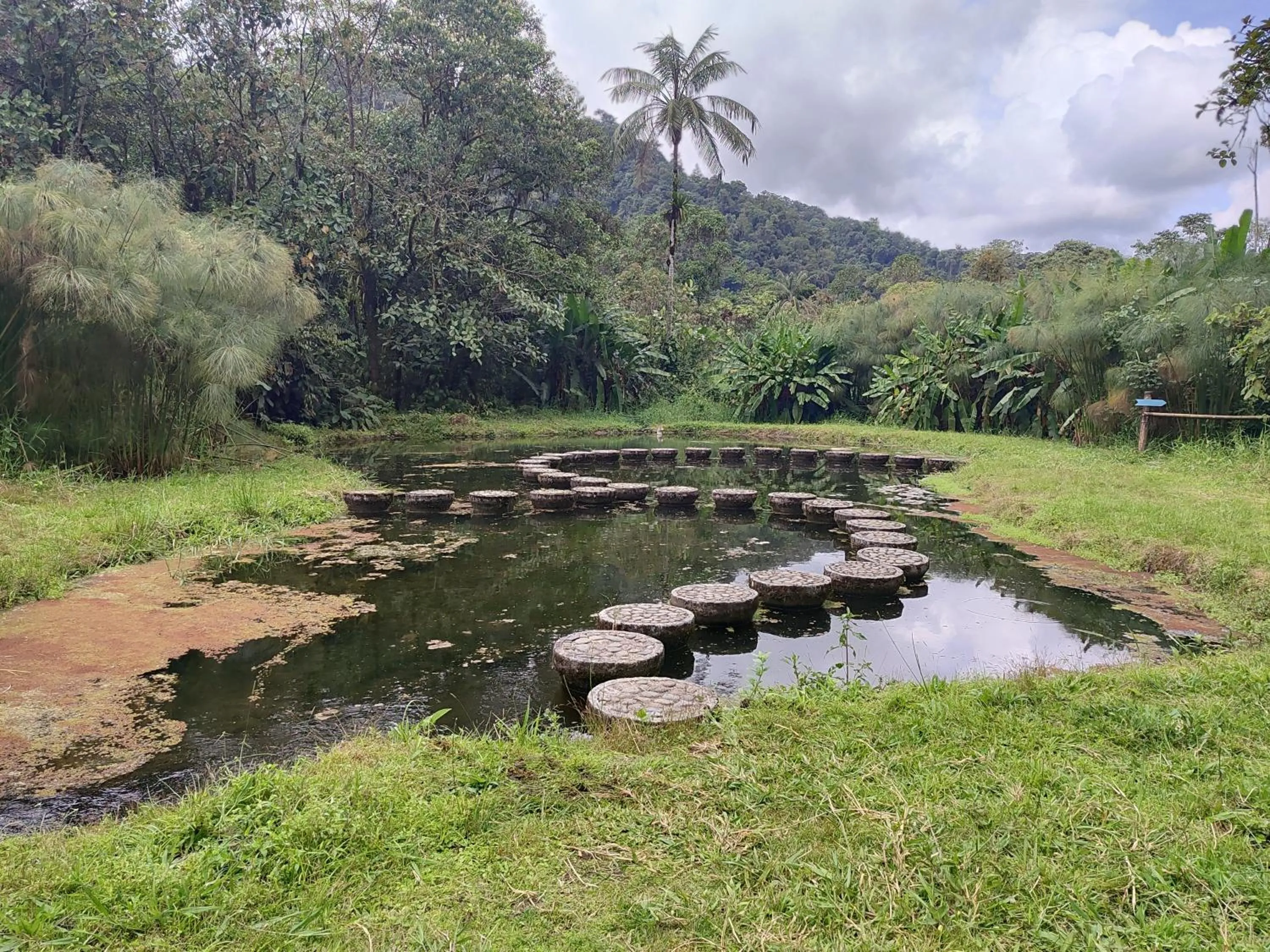 Off site in Mindo Garden Lodge and Wildlife Reserve