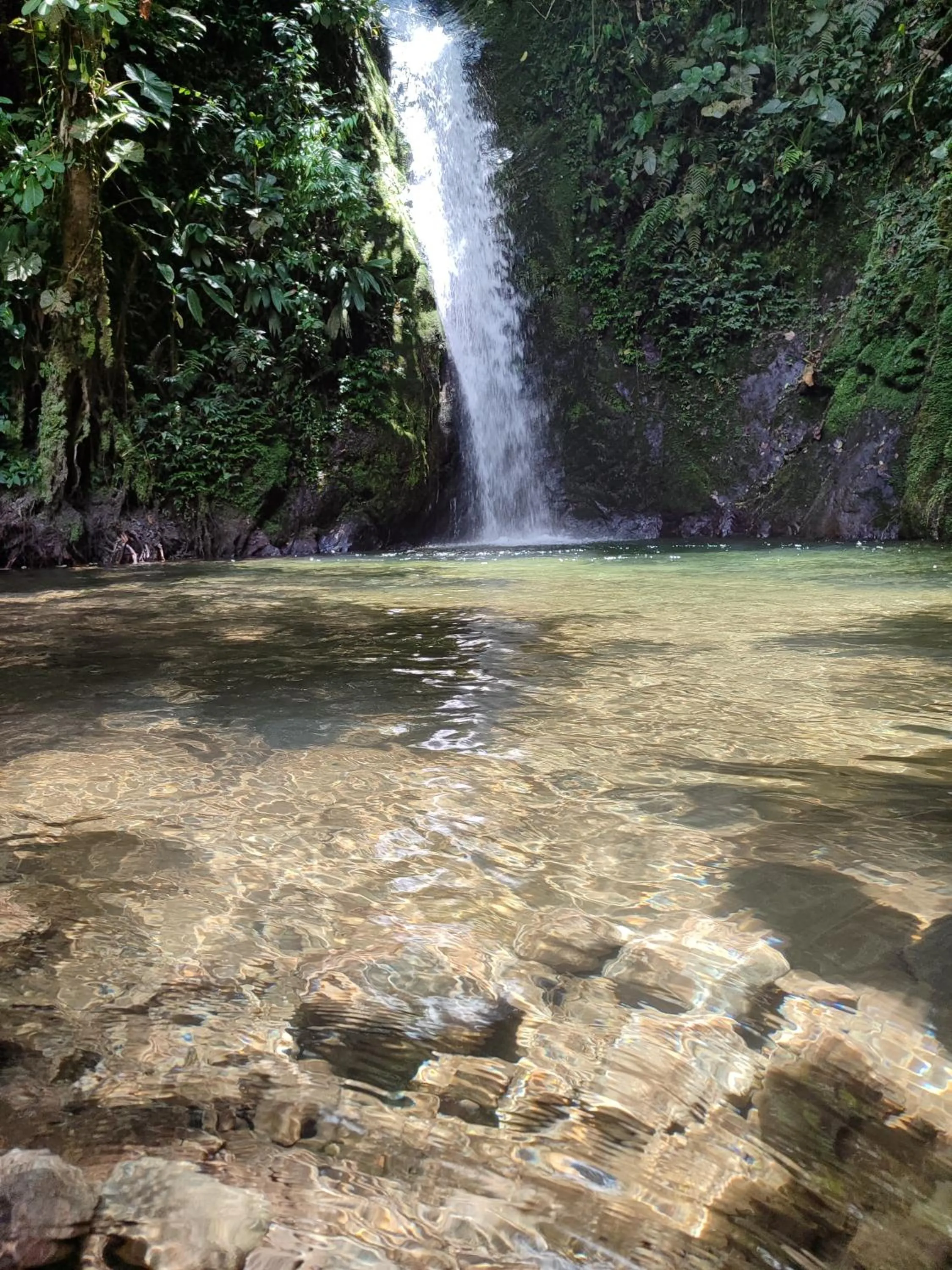 Nearby landmark in Mindo Garden Lodge and Wildlife Reserve