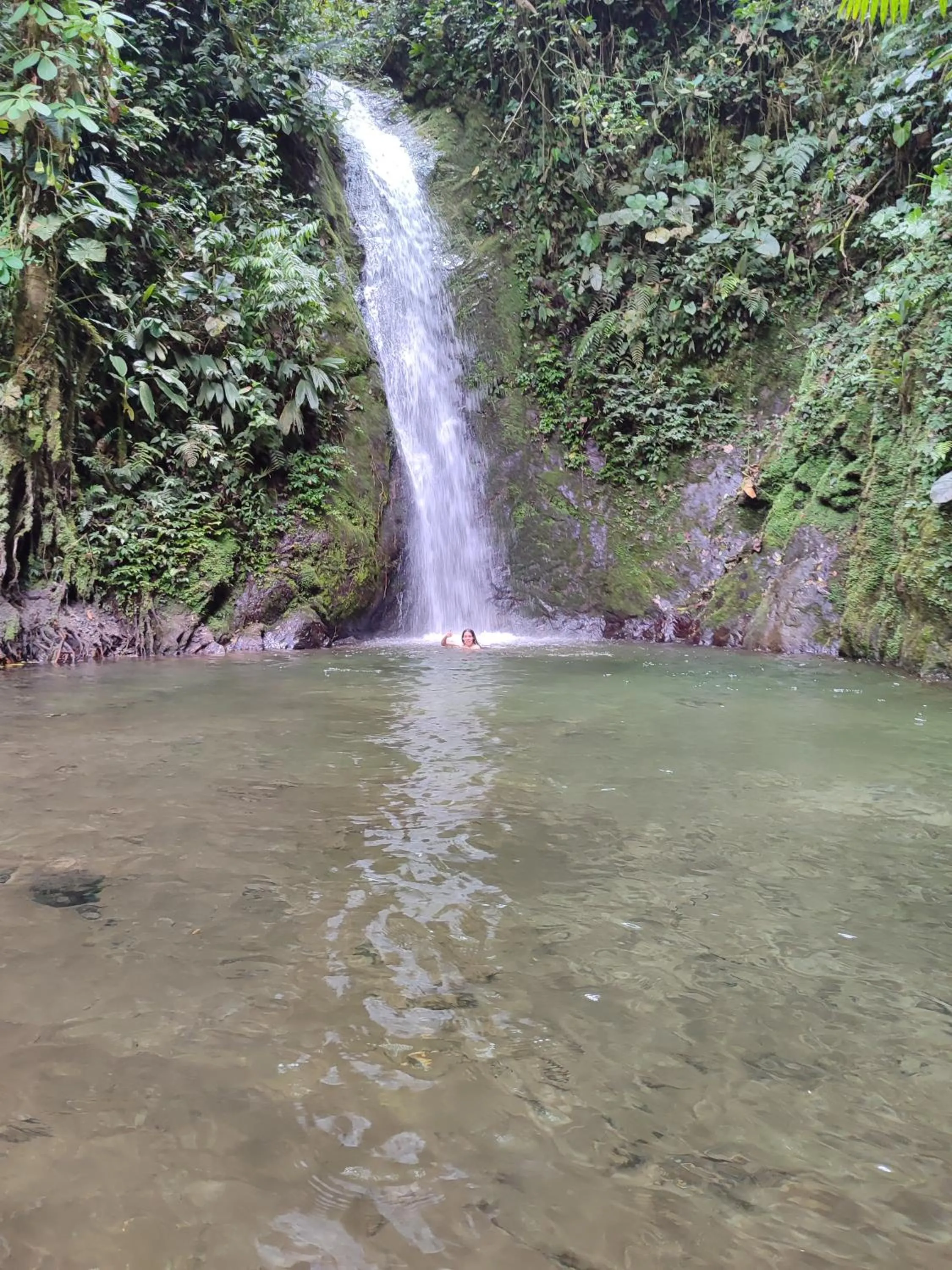 Nearby landmark in Mindo Garden Lodge and Wildlife Reserve
