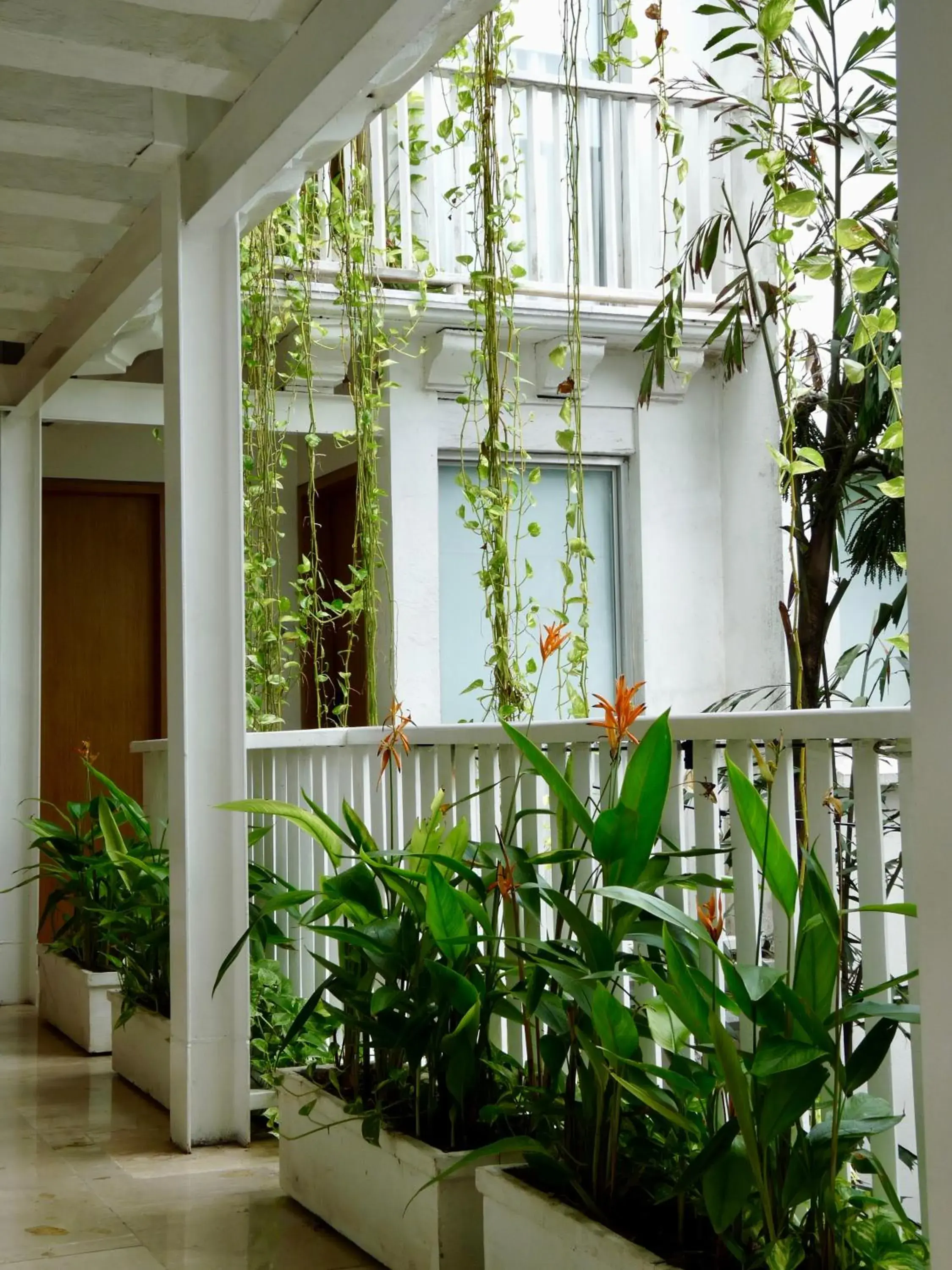 Property building in Delirio Hotel Property building in Delirio Hotel