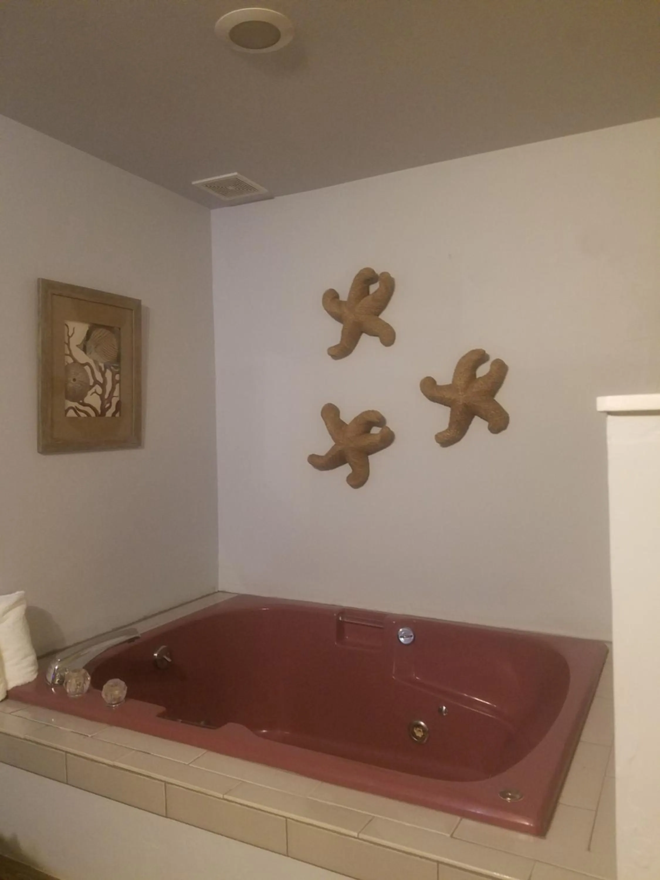 Other in The Guesthouse Ocean View Cottages