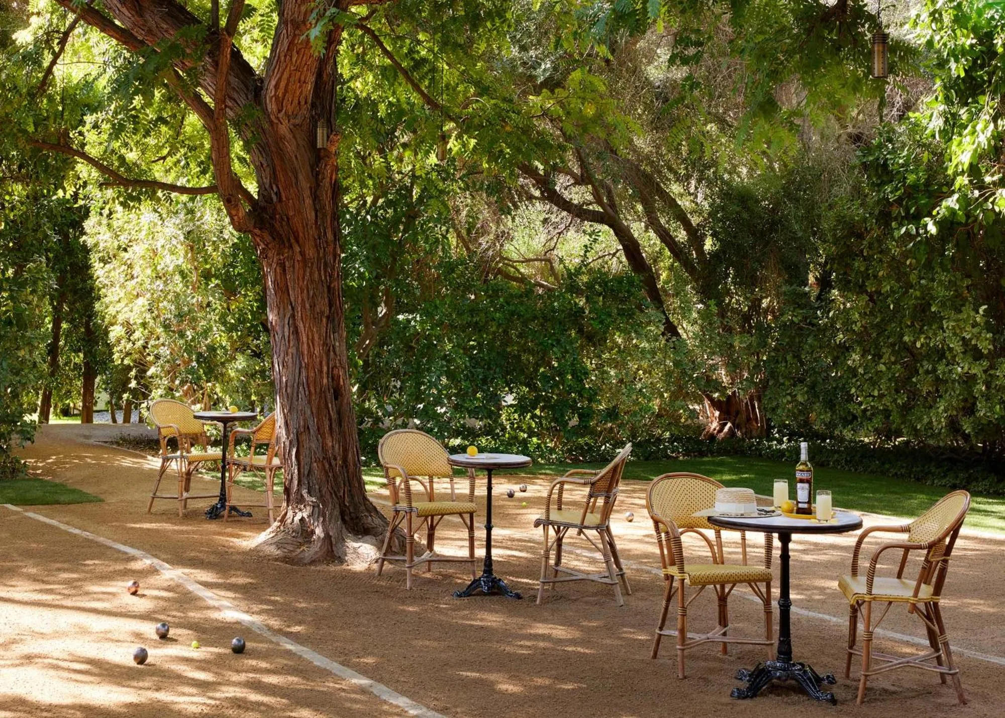 Activities in Parker Palm Springs