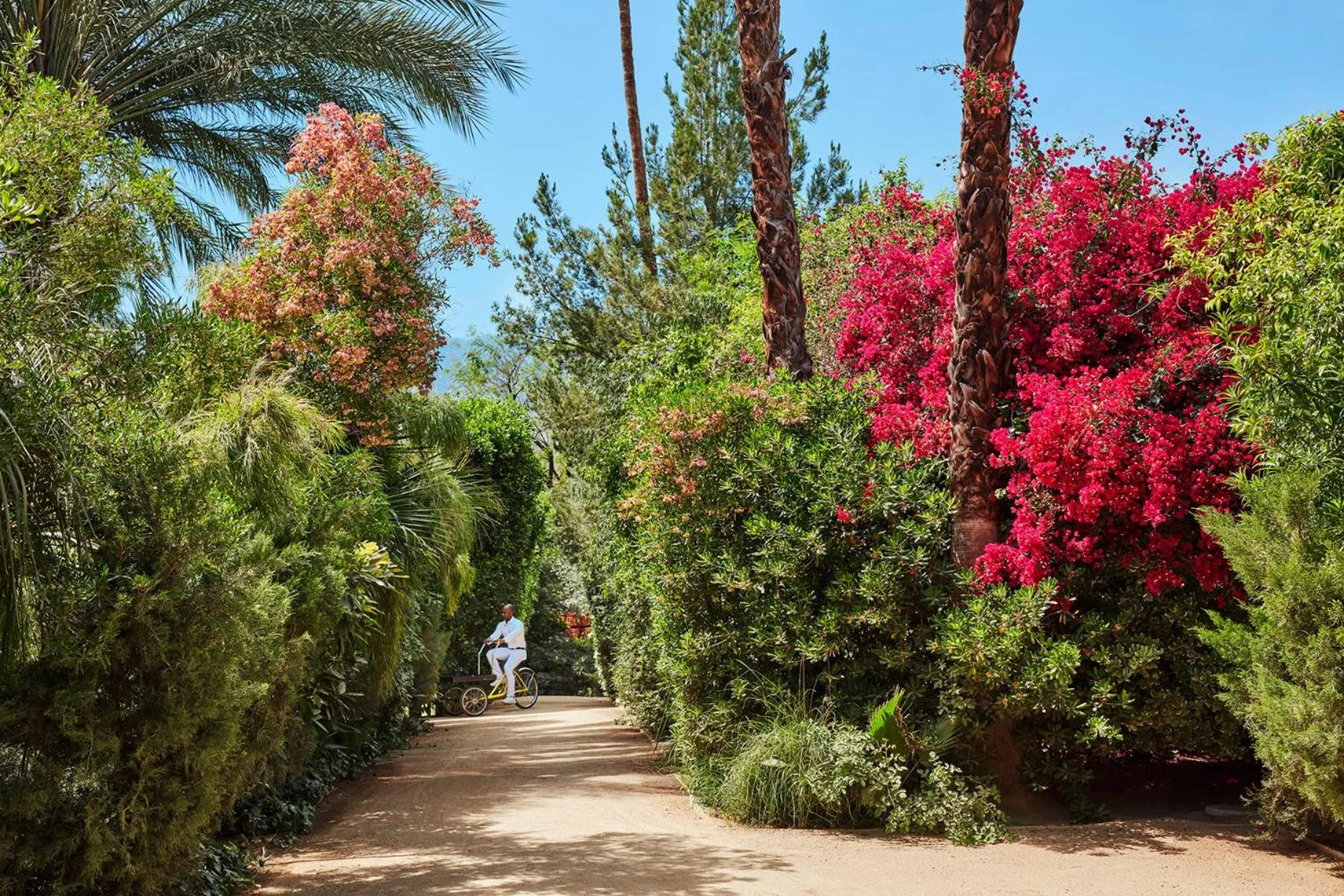 Natural landscape in Parker Palm Springs
