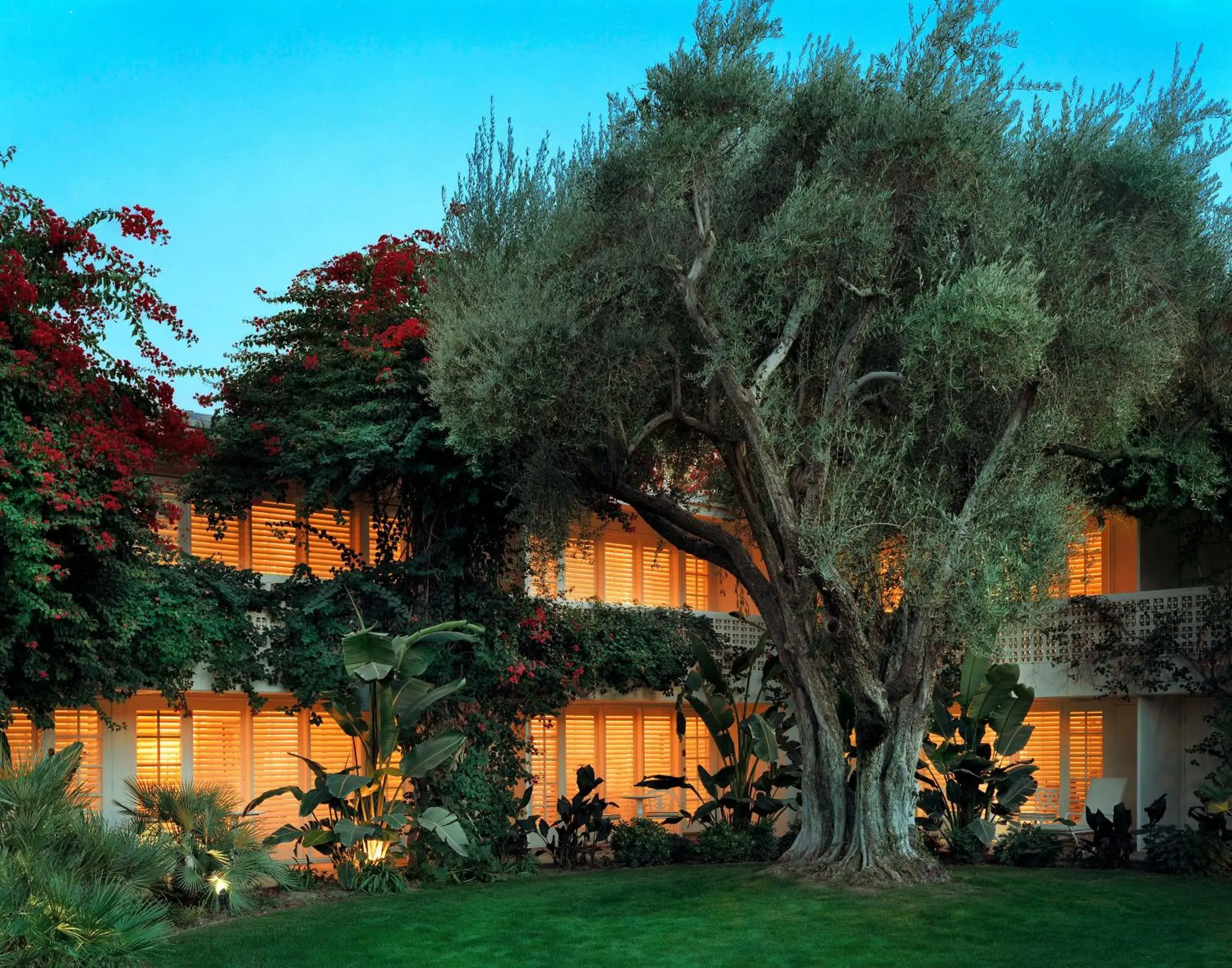 Facade/entrance in Parker Palm Springs Facade/entrance in Parker Palm Springs