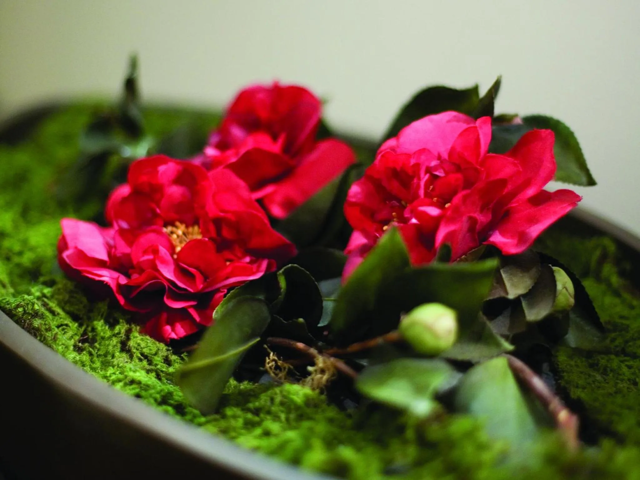 Facade/entrance in Hotel on Devonport