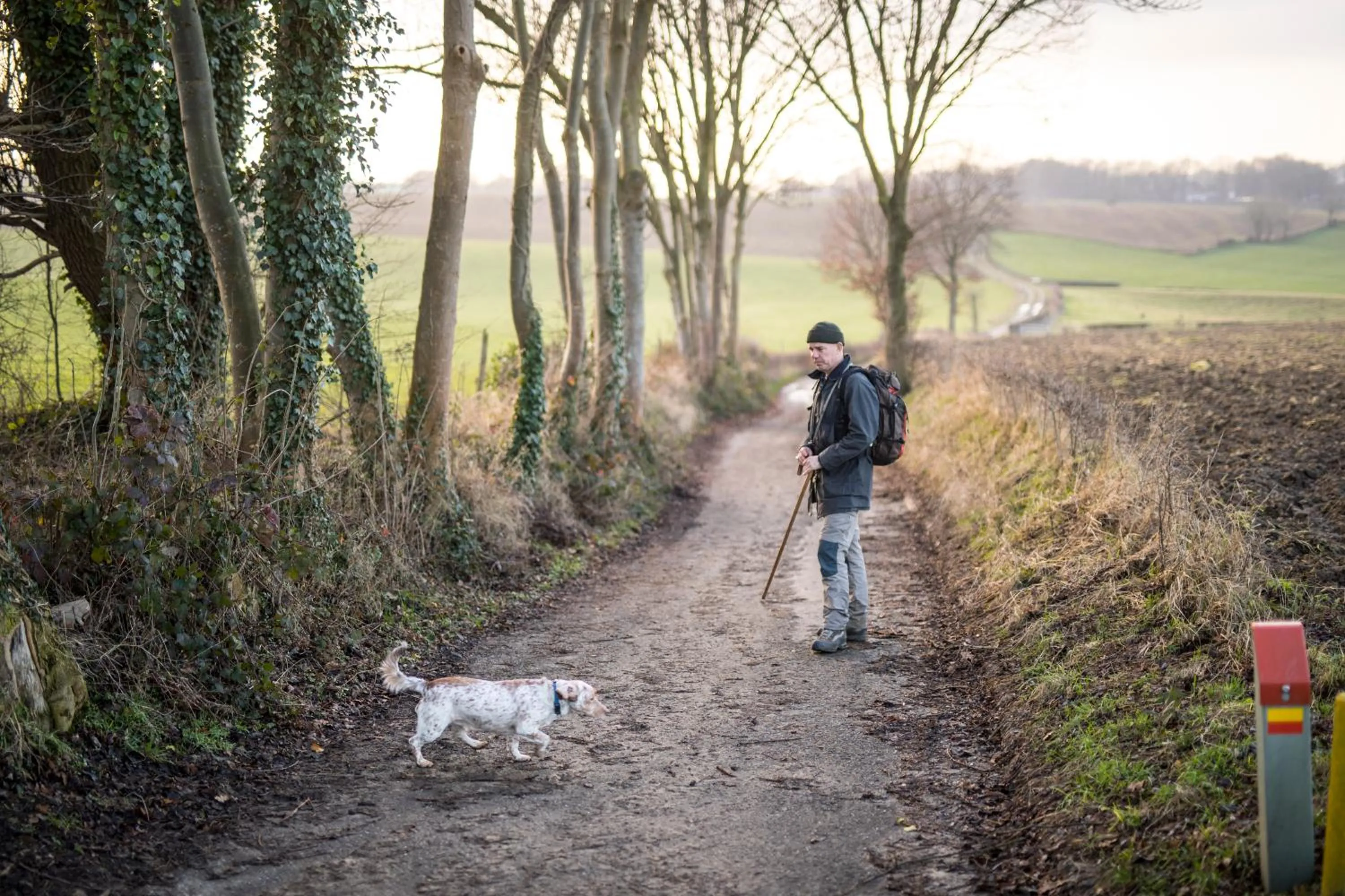 Hiking in Hotel Valkenburg by Mercure - Next to Shimano Experience Center