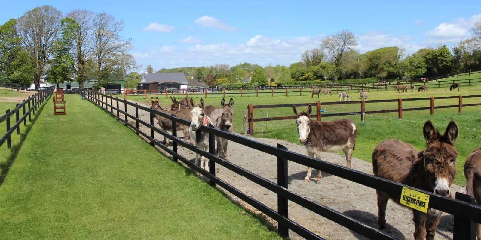 Activities in Charleville Park Hotel & Leisure Club IRELAND