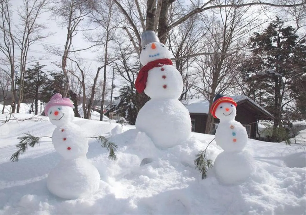 Other in Holiday House Green Garden