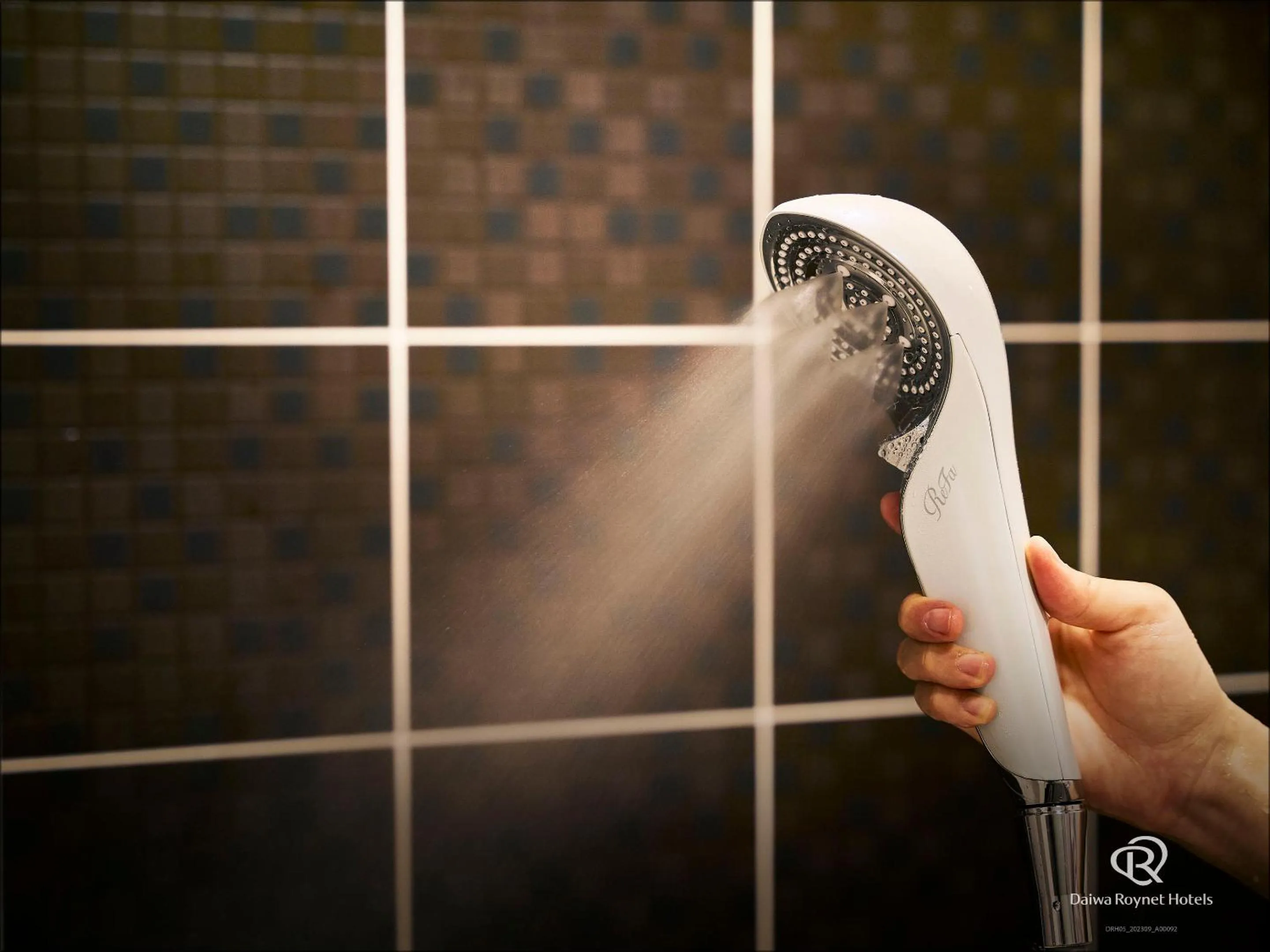 Other in Daiwa Roynet Hotel Kyoto Shijo Karasuma