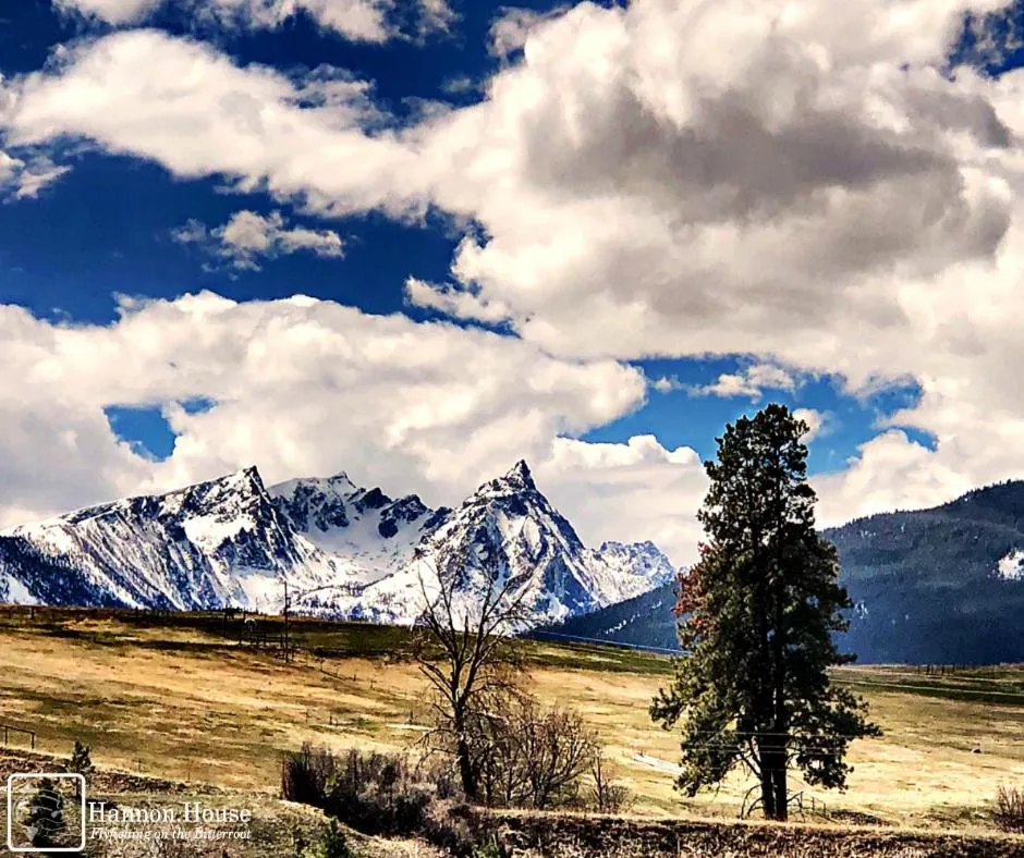 Mountain view in Hannon House
