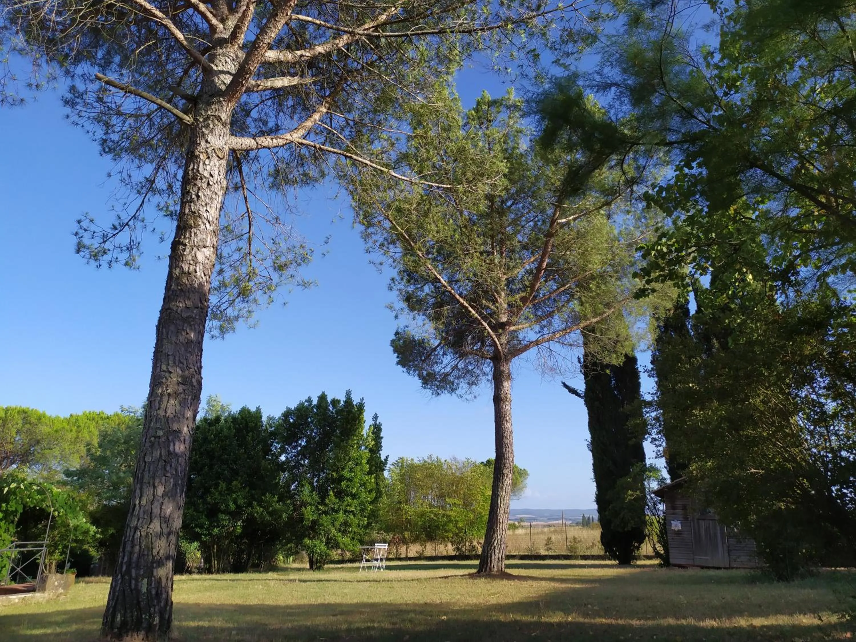 Garden in DAGO Farmhouse