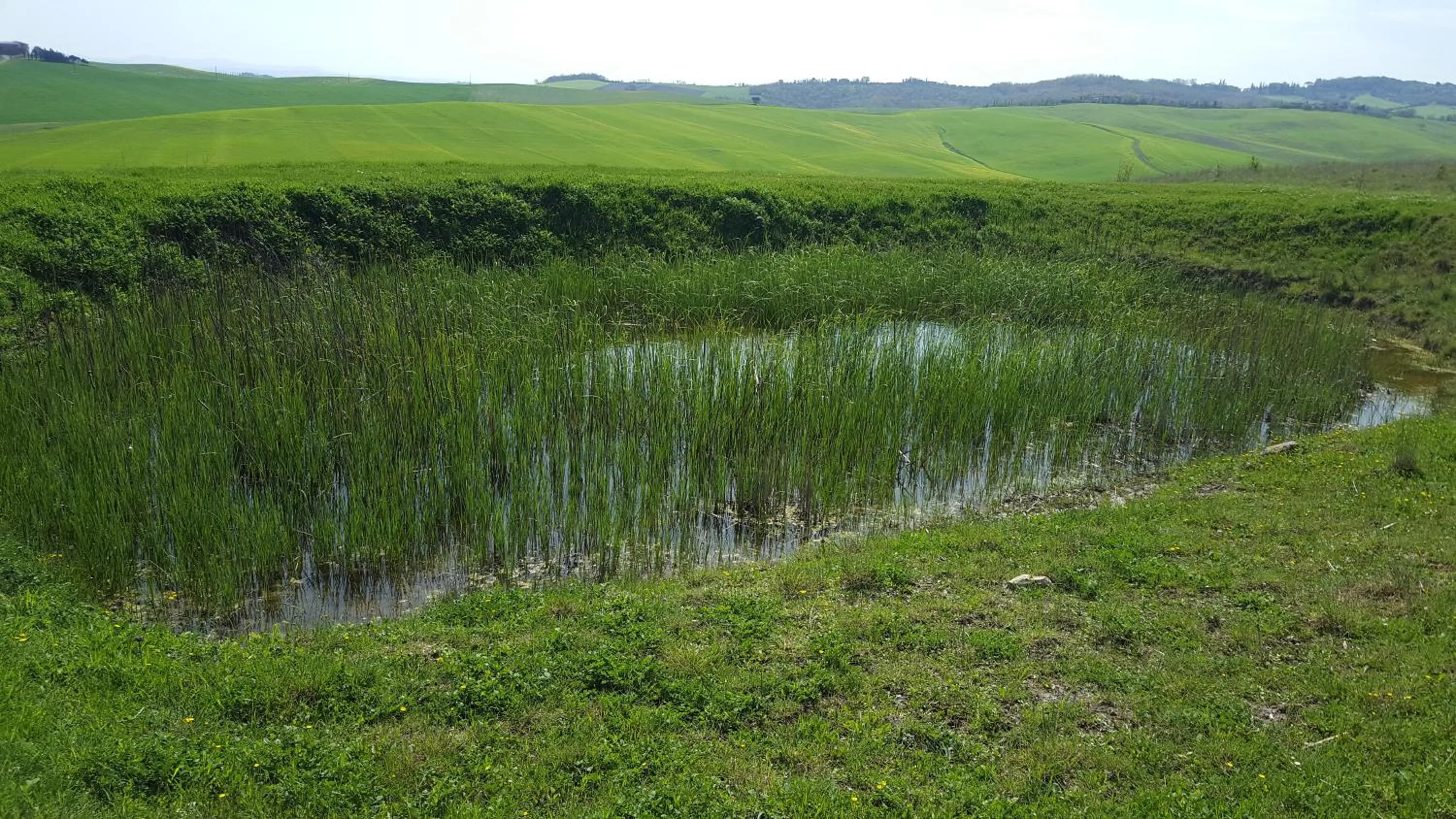 Natural landscape in DAGO Farmhouse