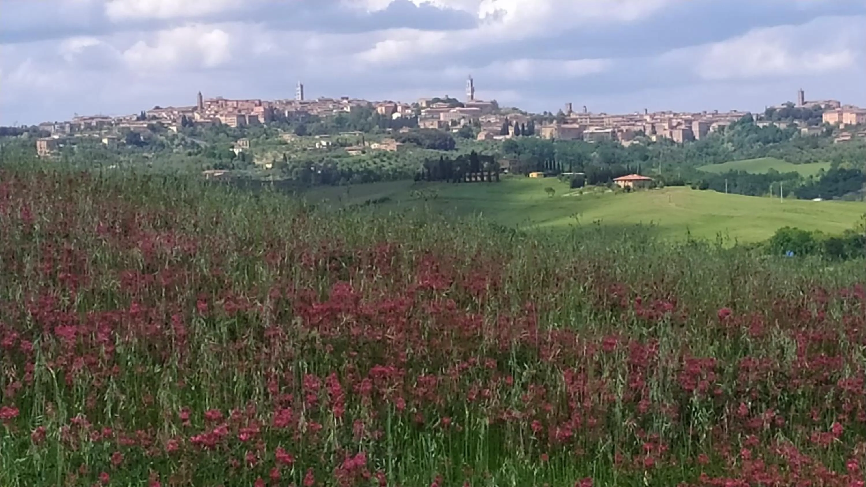 Spring in DAGO Farmhouse