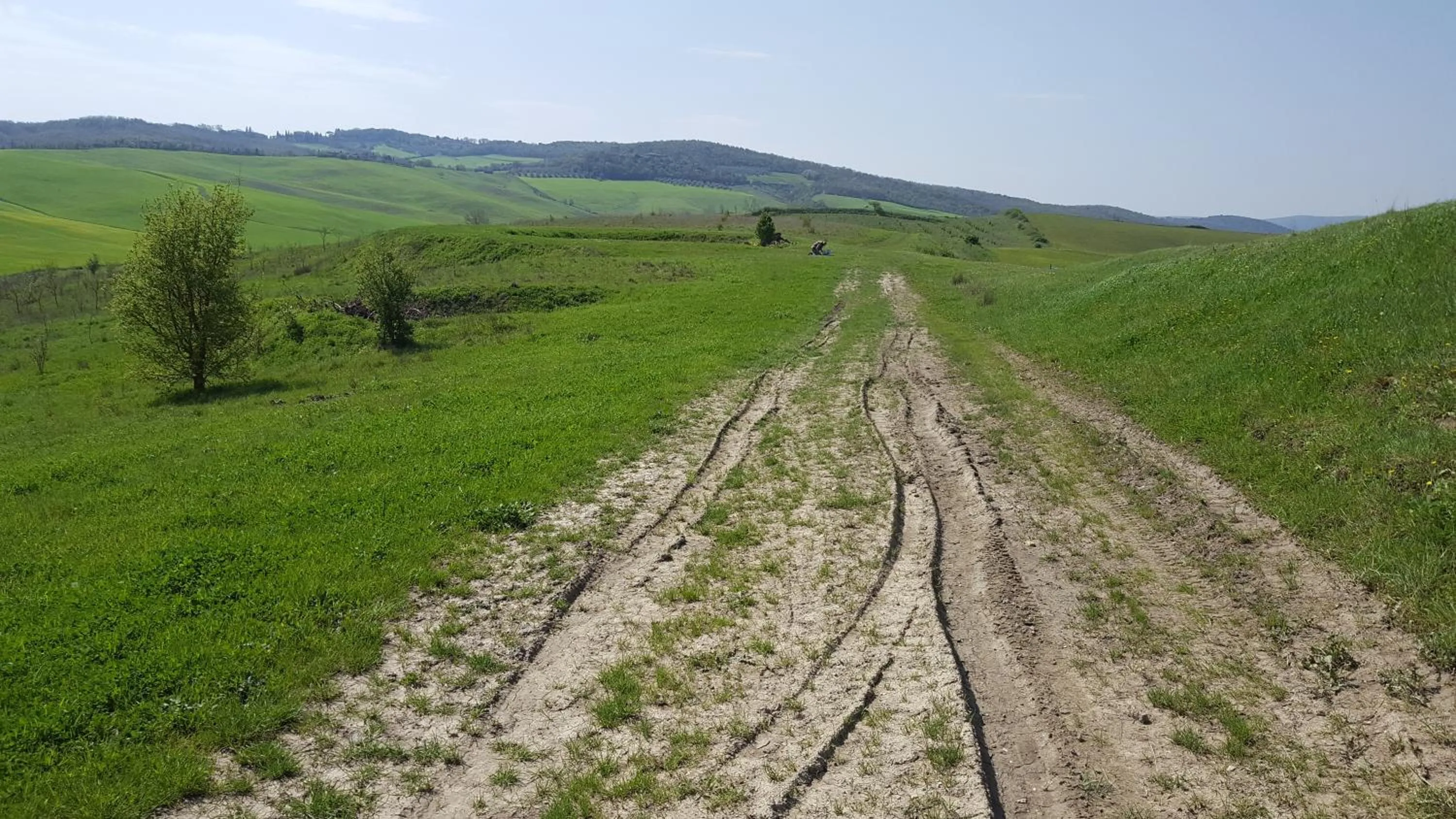 Natural landscape in DAGO Farmhouse