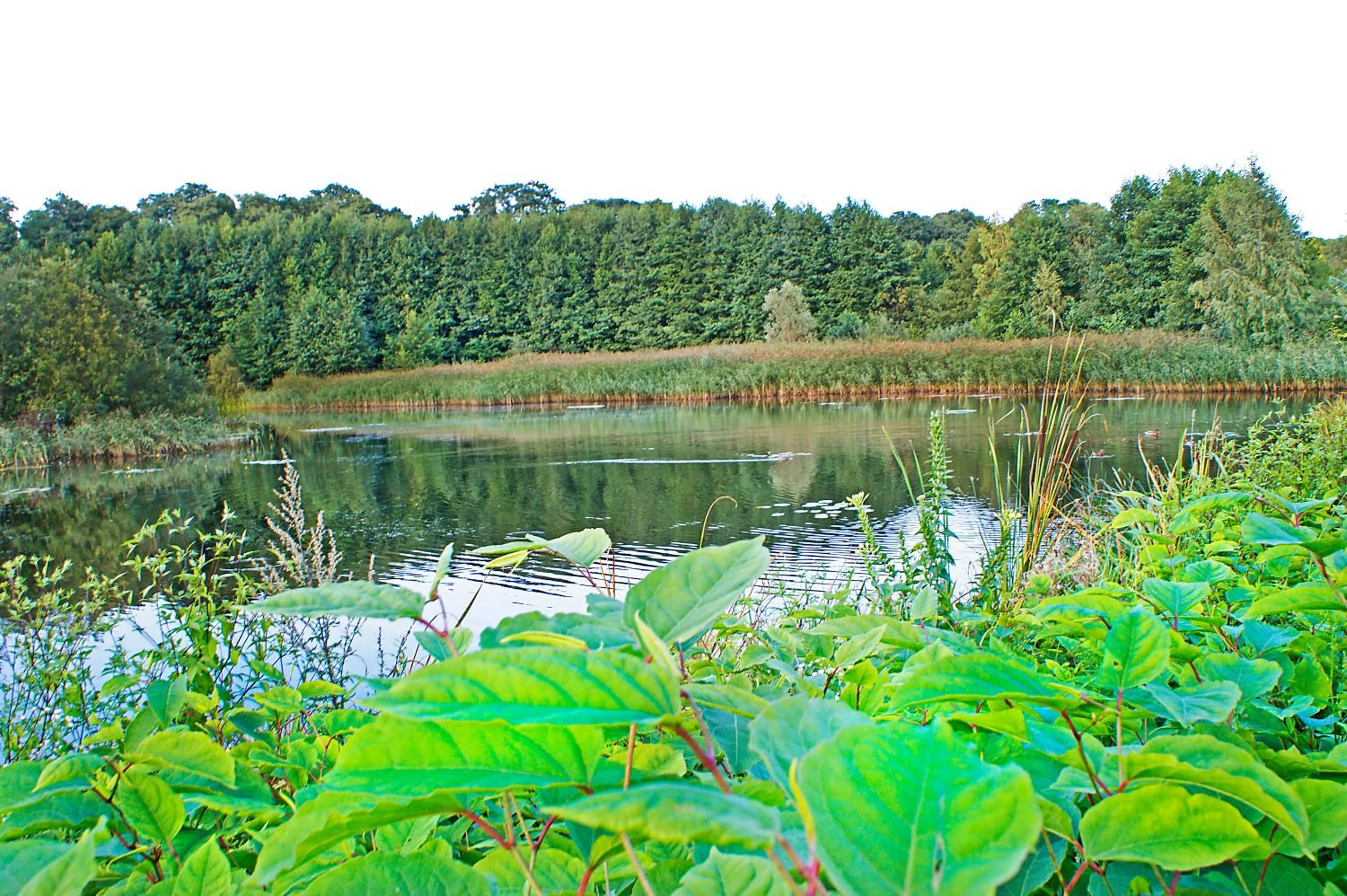 Neighbourhood in IRS ROYAL APARTMENTS Apartamenty IRS Fregata