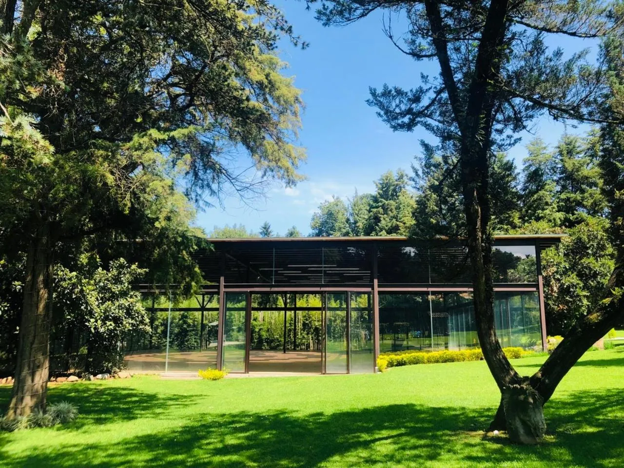 Natural landscape in Hotel Boutique Unico Avandaro