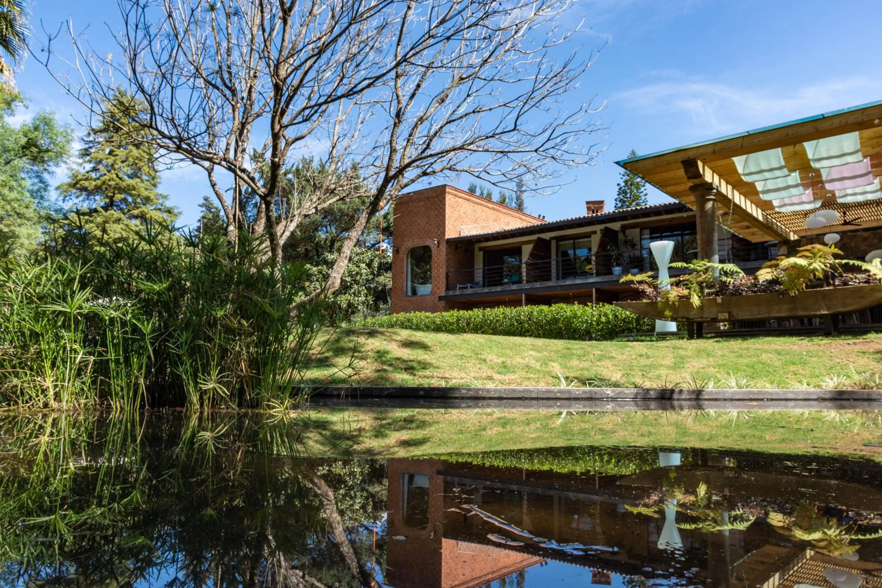 Garden view in Hotel Boutique Unico Avandaro