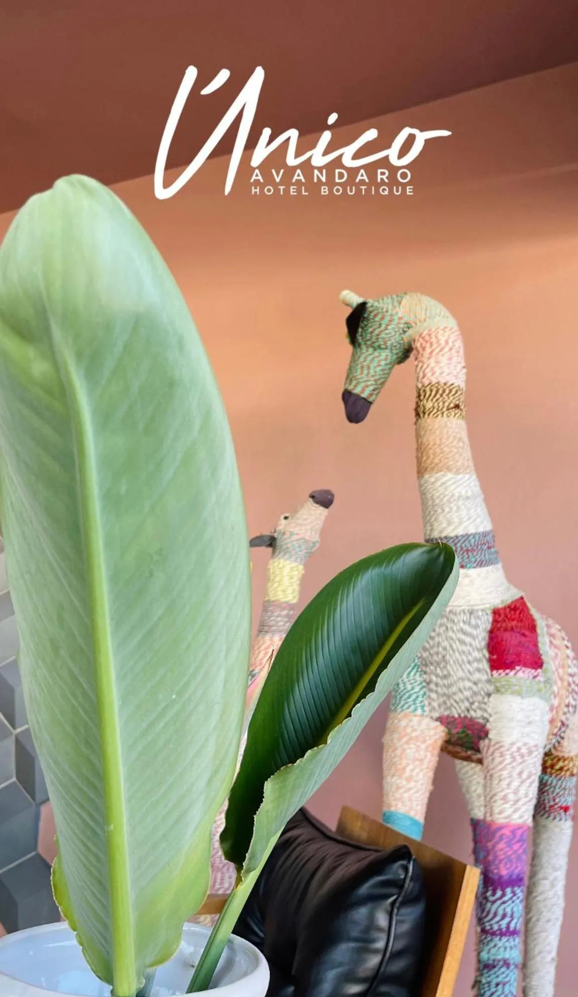 Decorative detail in Hotel Boutique Unico Avandaro