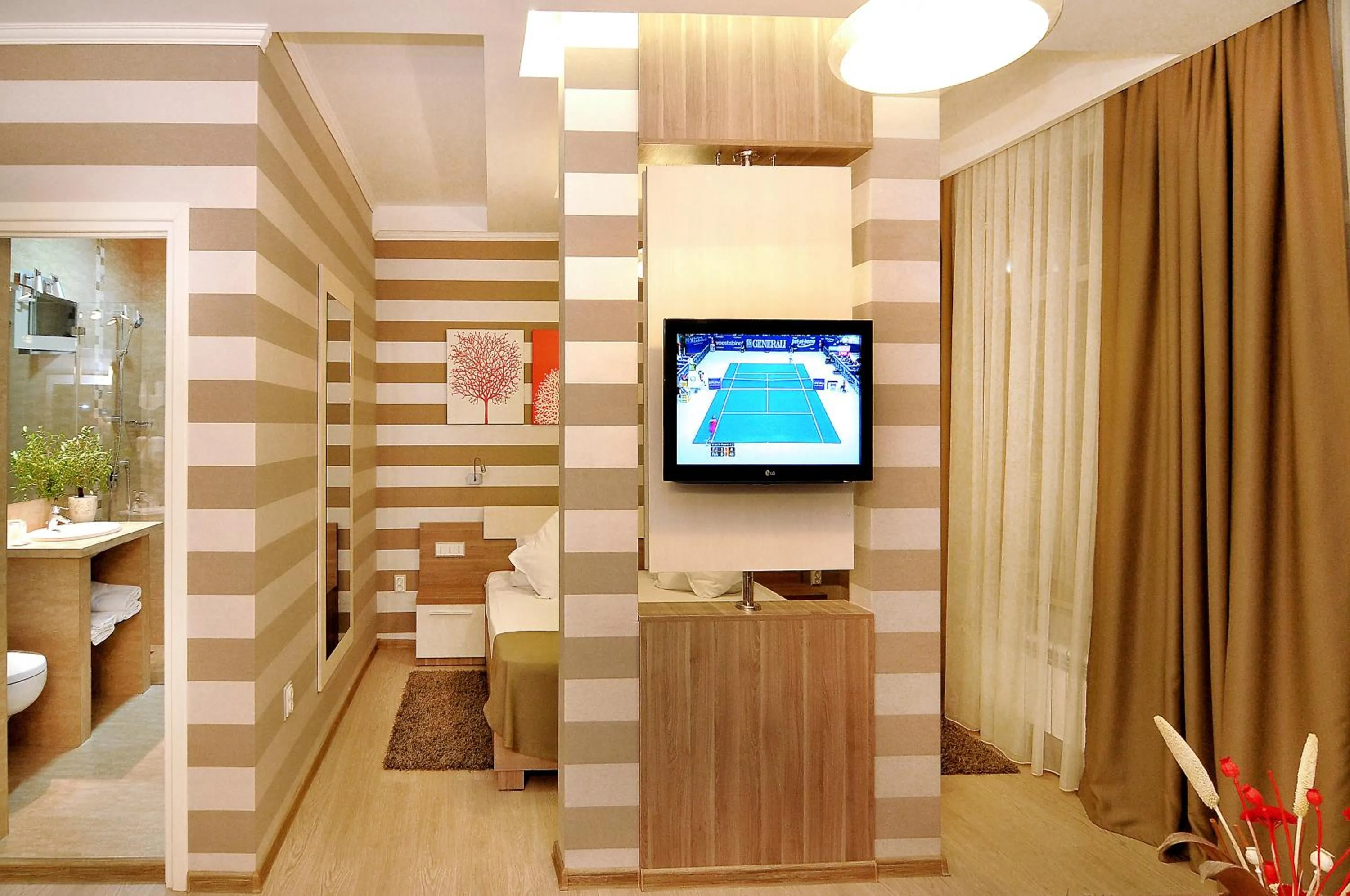 TV and multimedia in Hotel Confort