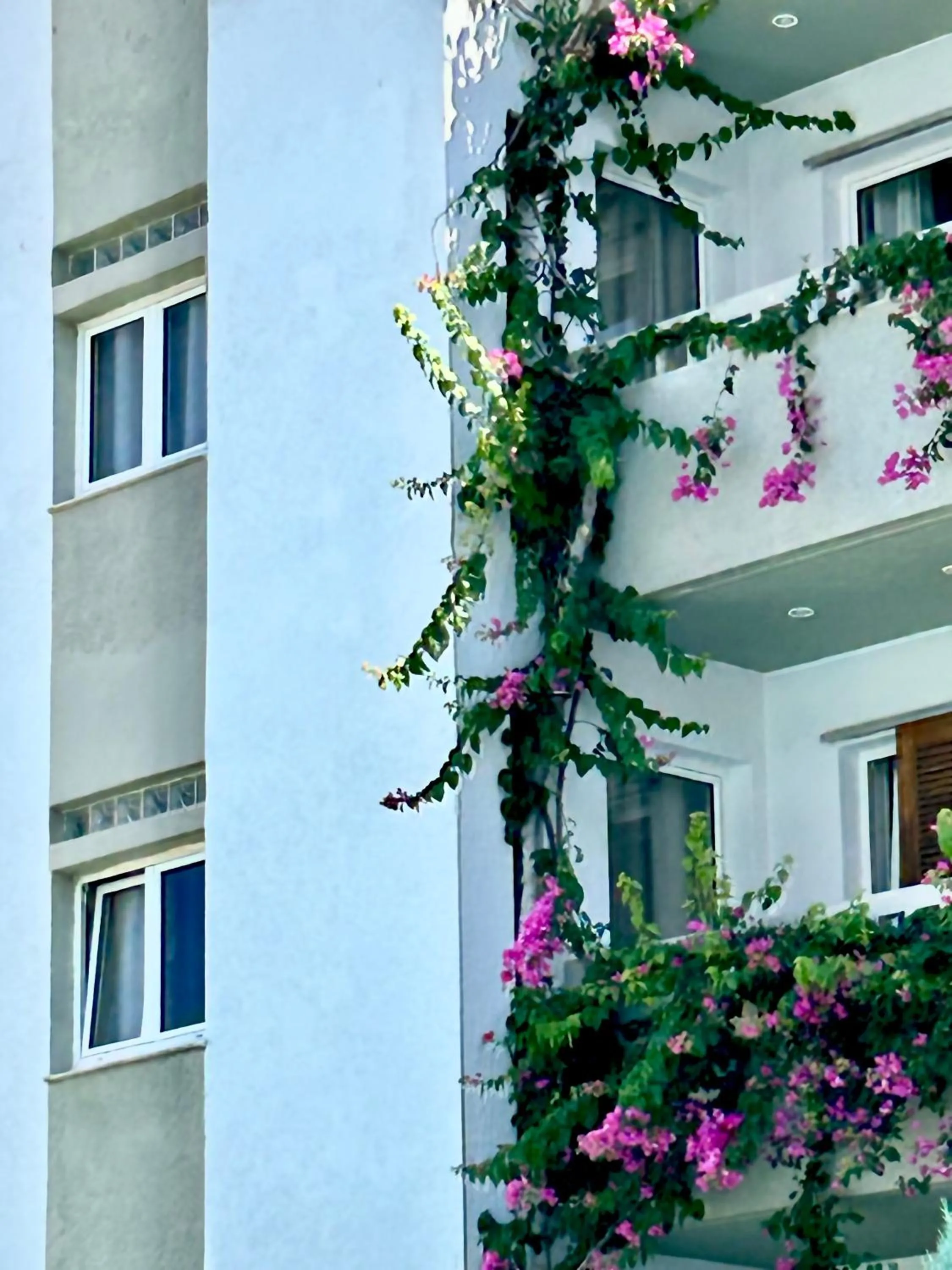 Andromeda Apartments & Studios