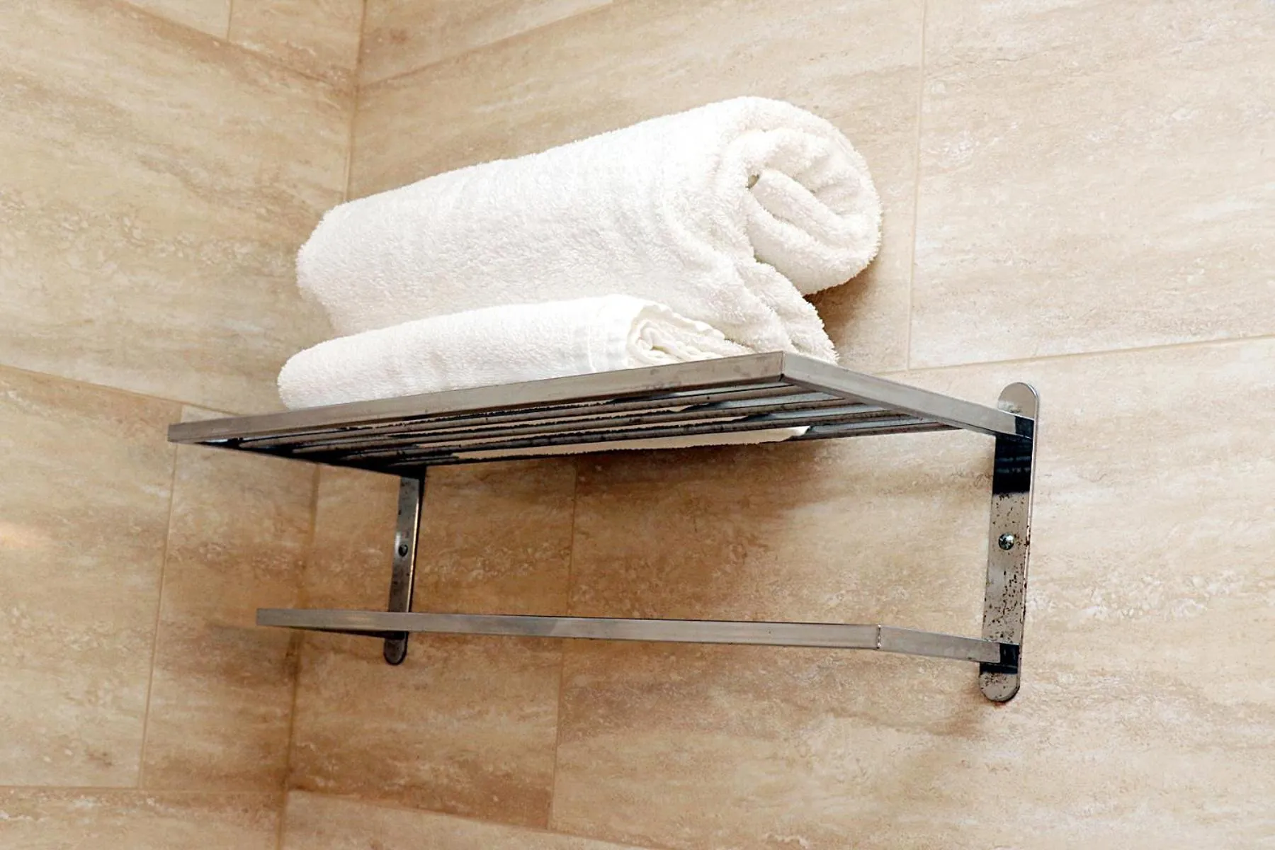 Other Animals in Gatwick Inn Hotel - For A Peaceful Overnight Stay