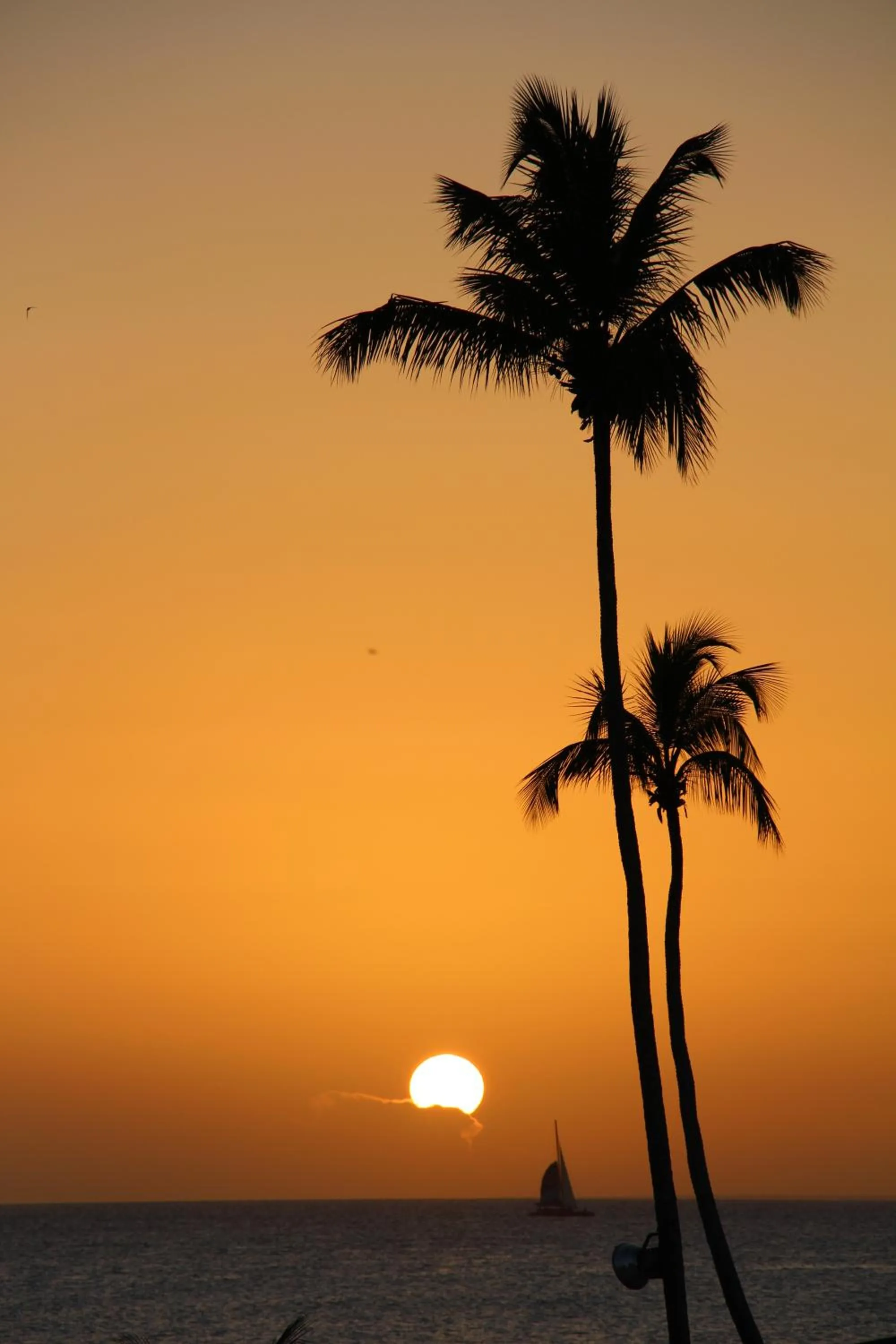 Caribbean Beach Villa Playa Bonita Las Terrenas