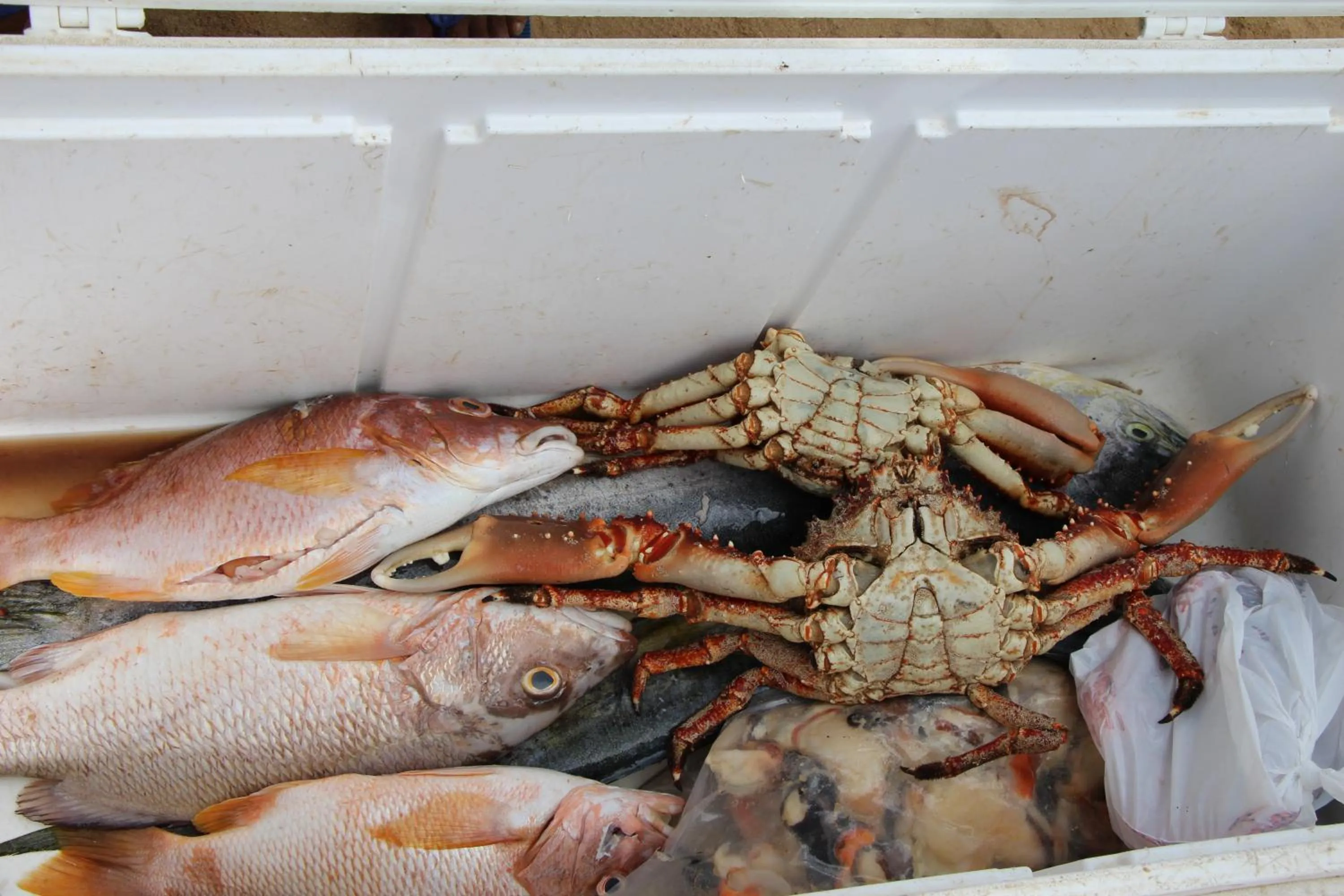 Caribbean Beach Villa Playa Bonita Las Terrenas