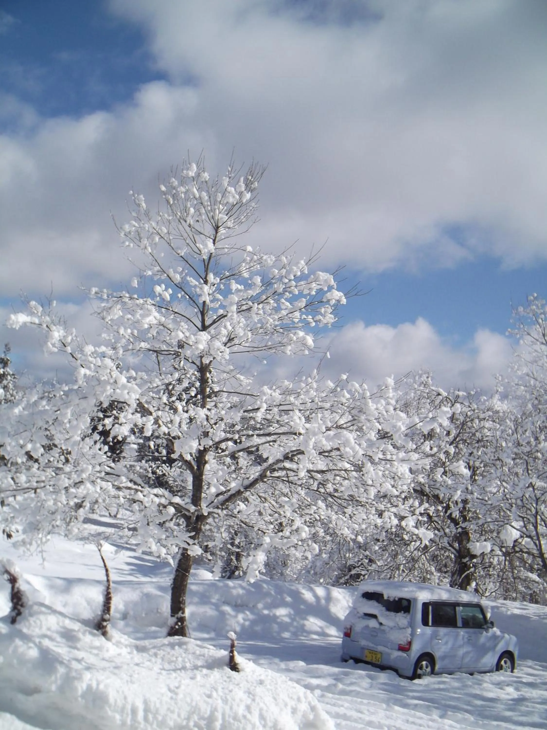 Winter in Pension Green Lake