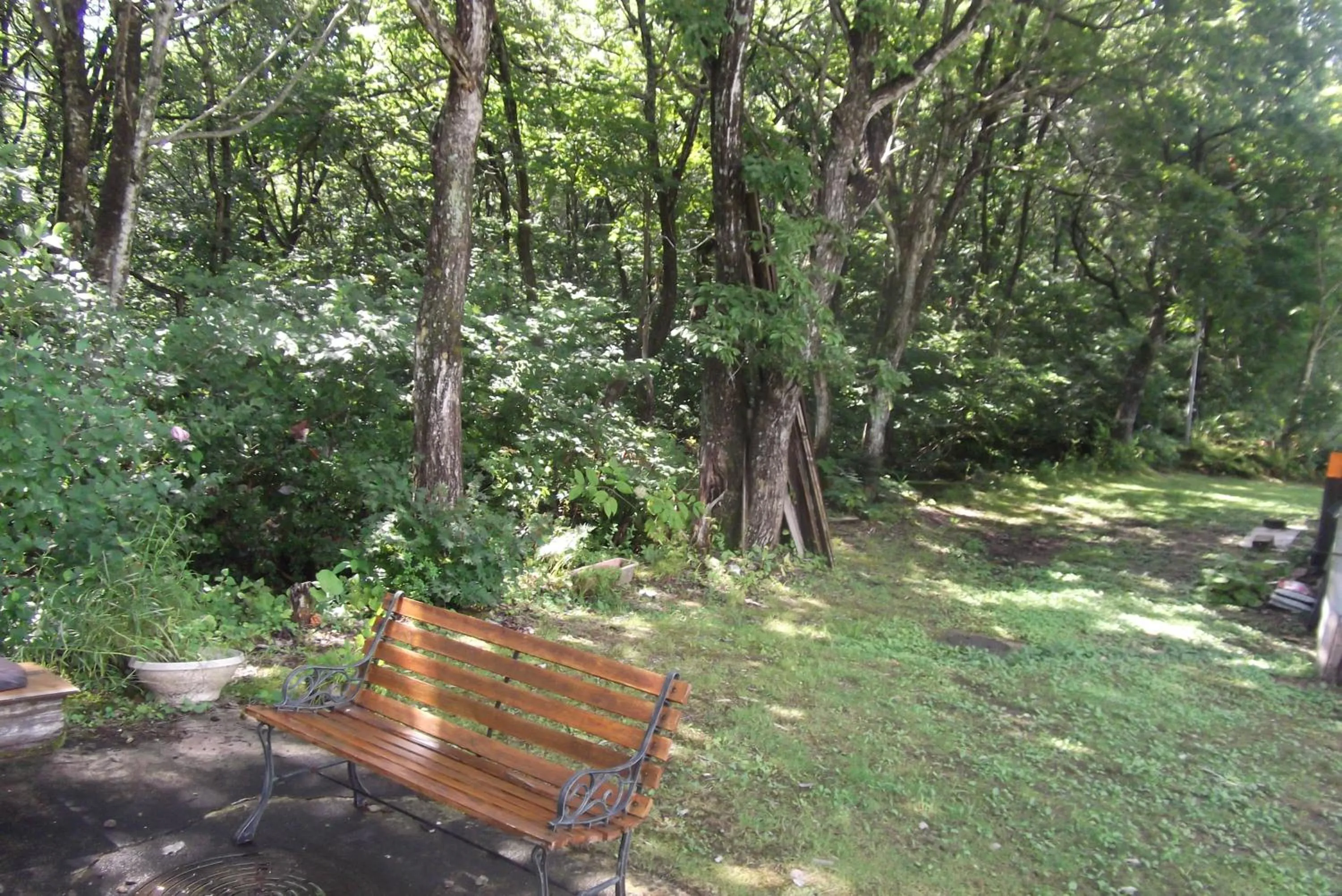 View (from property/room) in Pension Green Lake