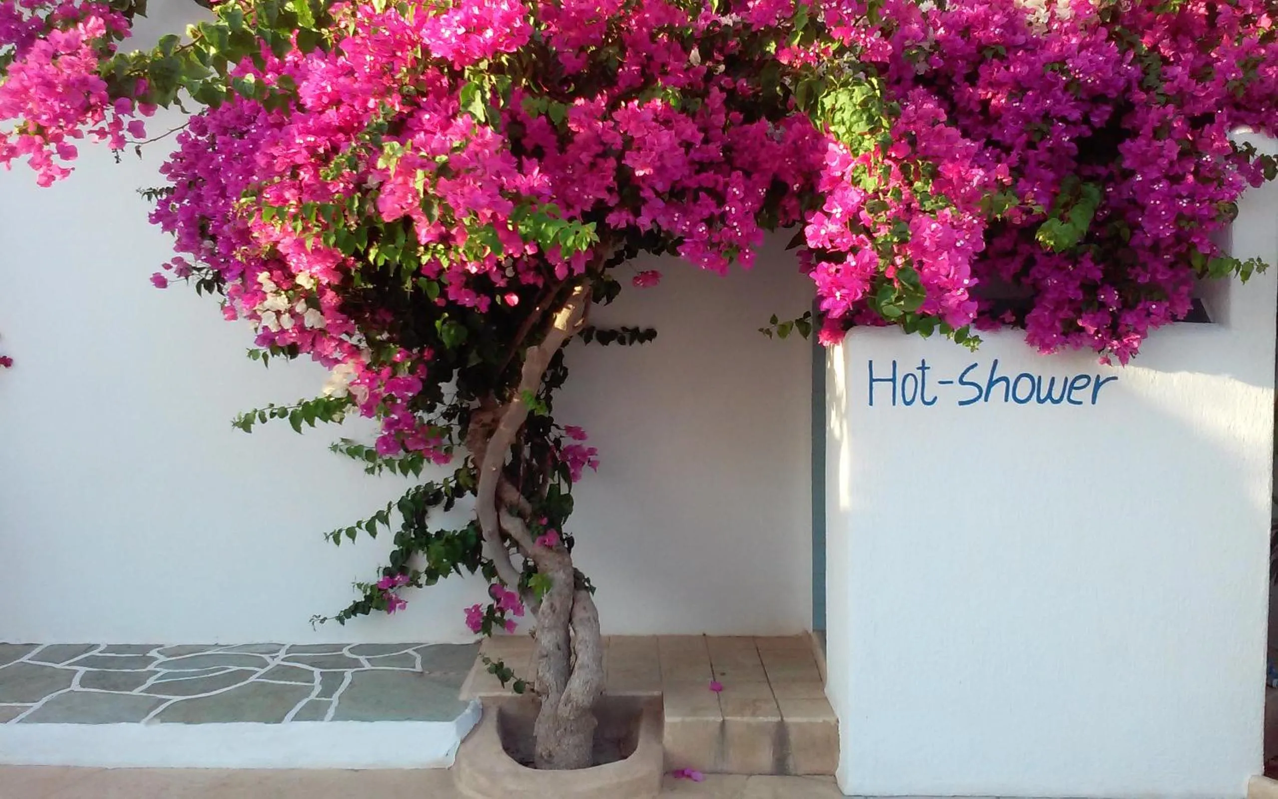 Spring in Polikandia Hotel