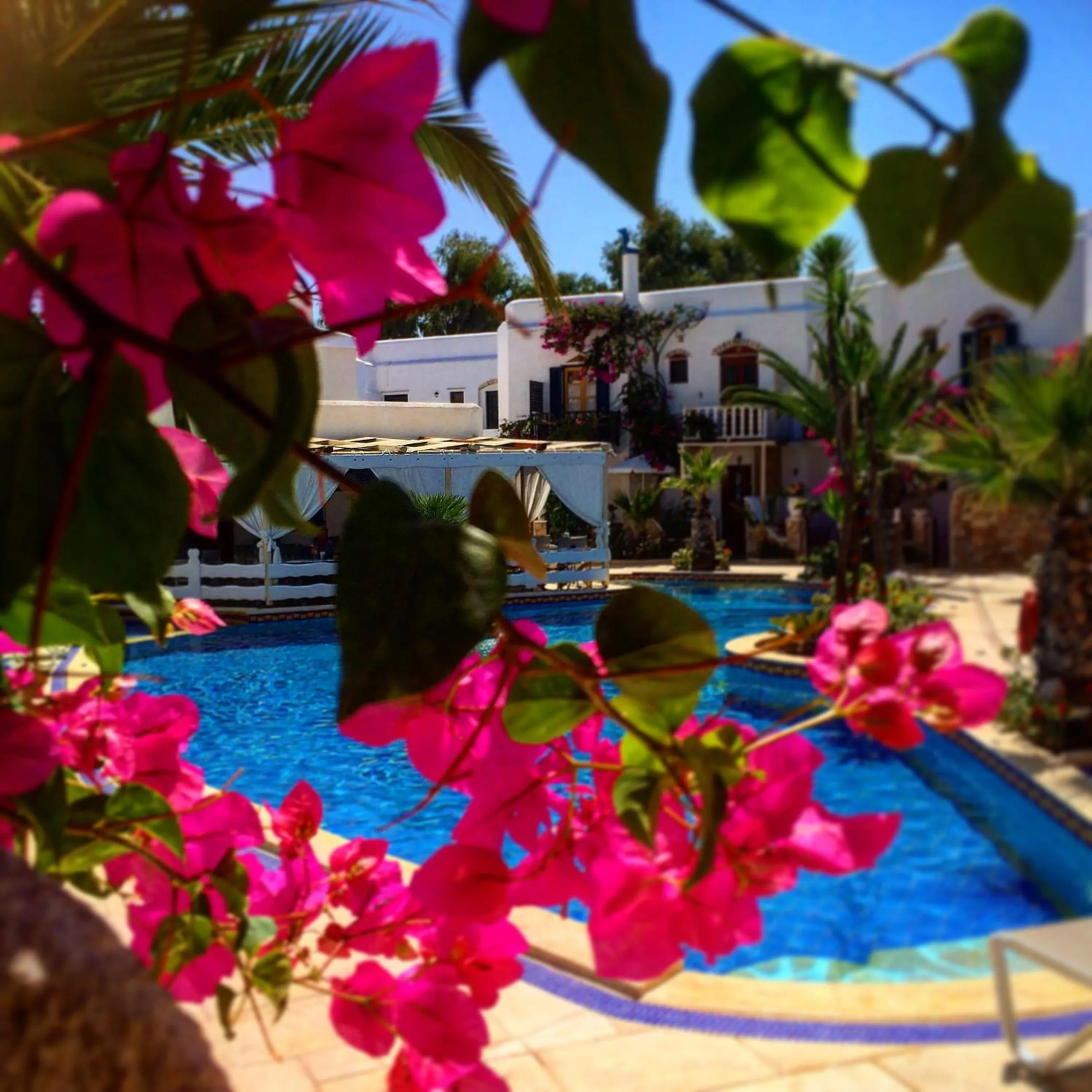 Spring in Polikandia Hotel
