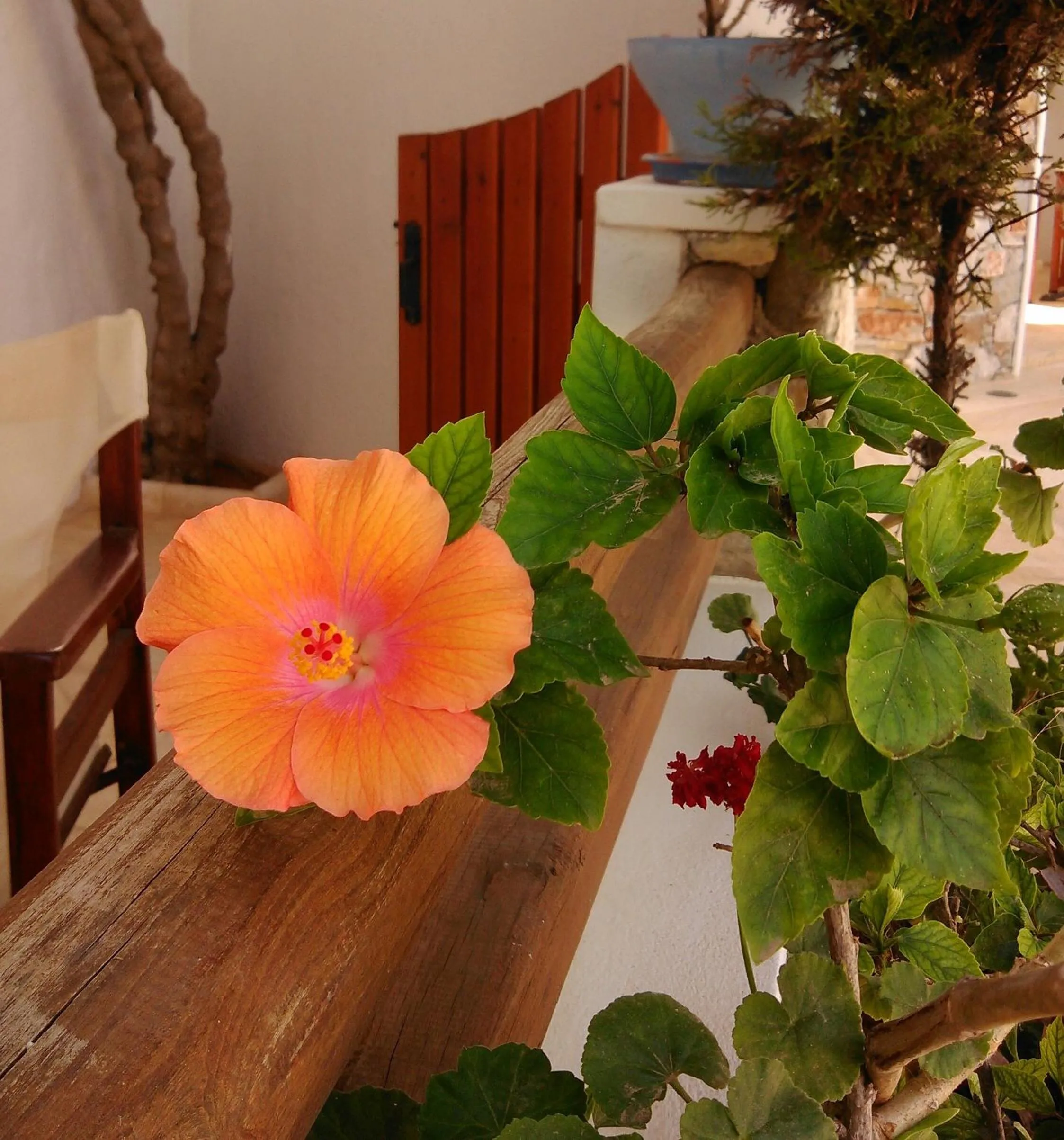 Spring in Polikandia Hotel