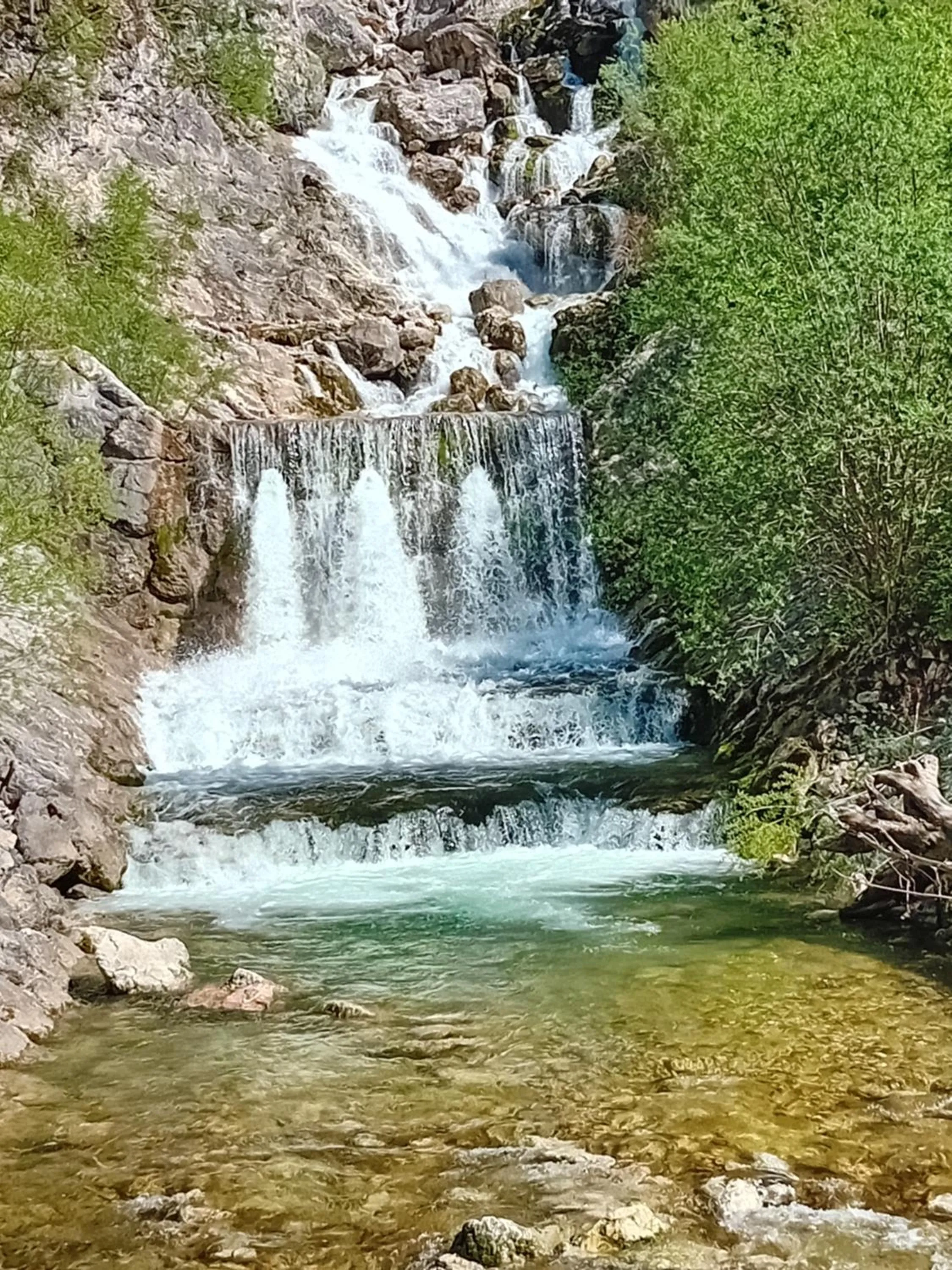 Natural landscape in Apartments Tubej