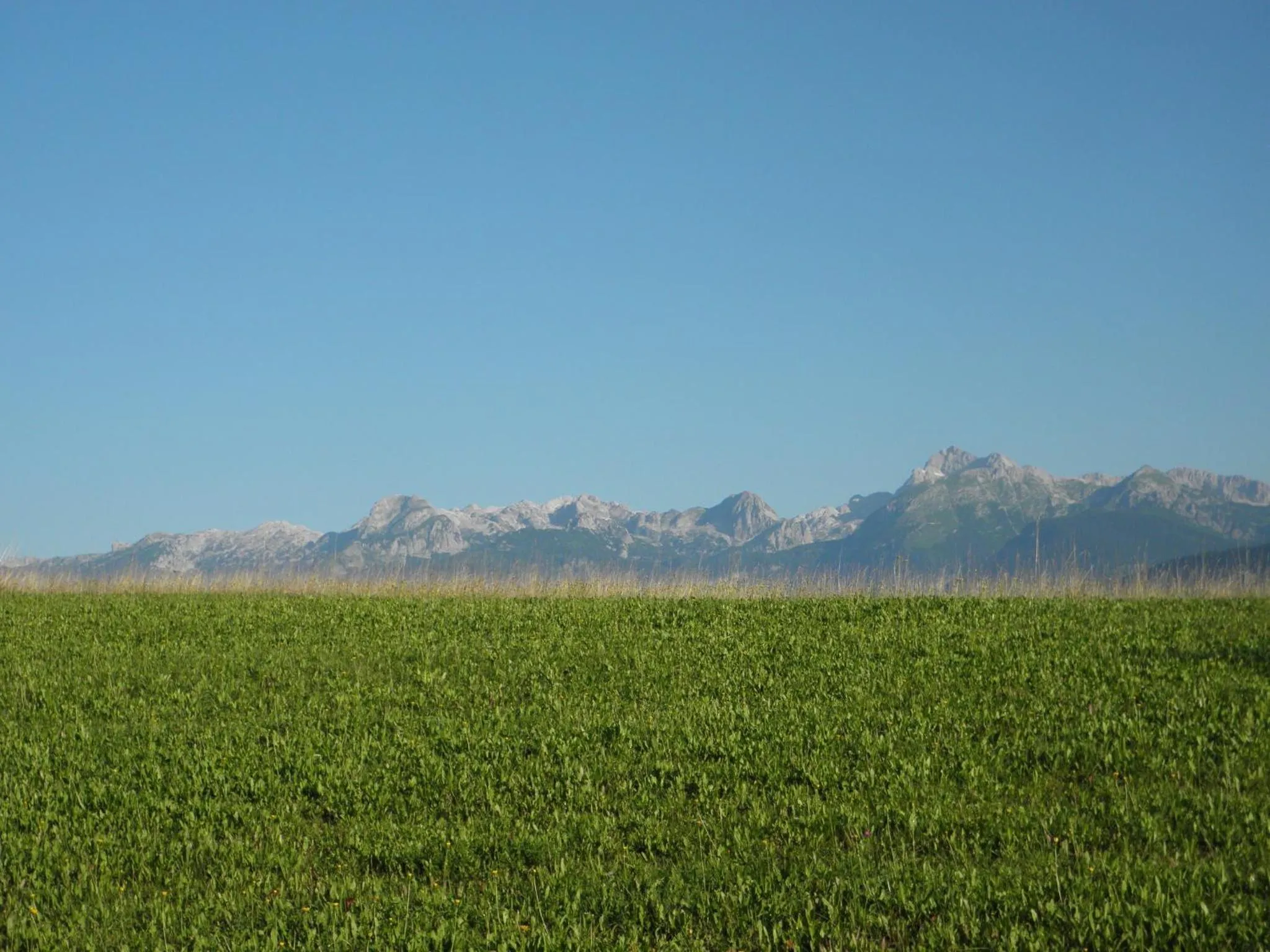 Natural landscape in Apartments Tubej