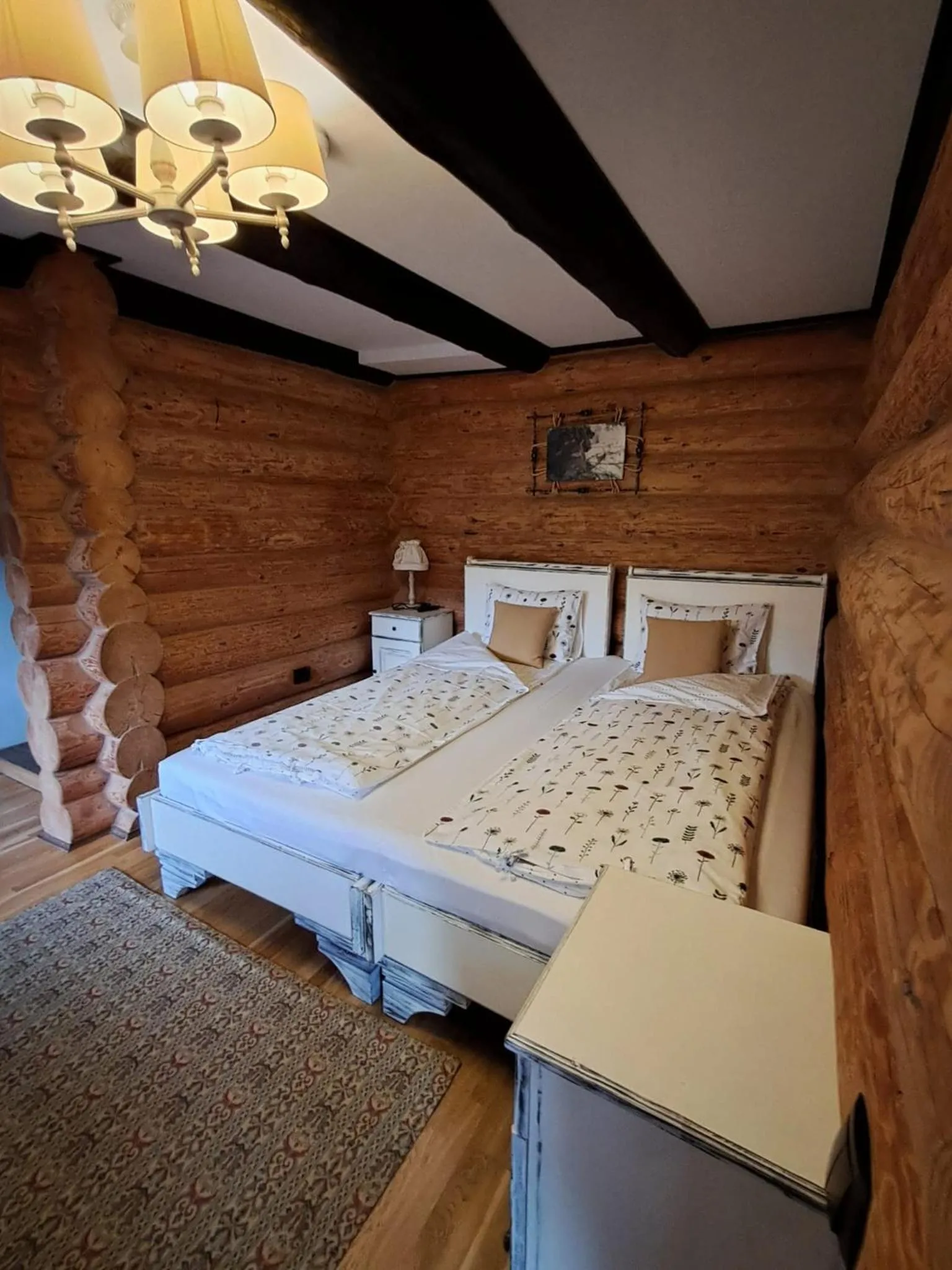 Double or Twin Room in Pensiunea Varvara de Bucovina
