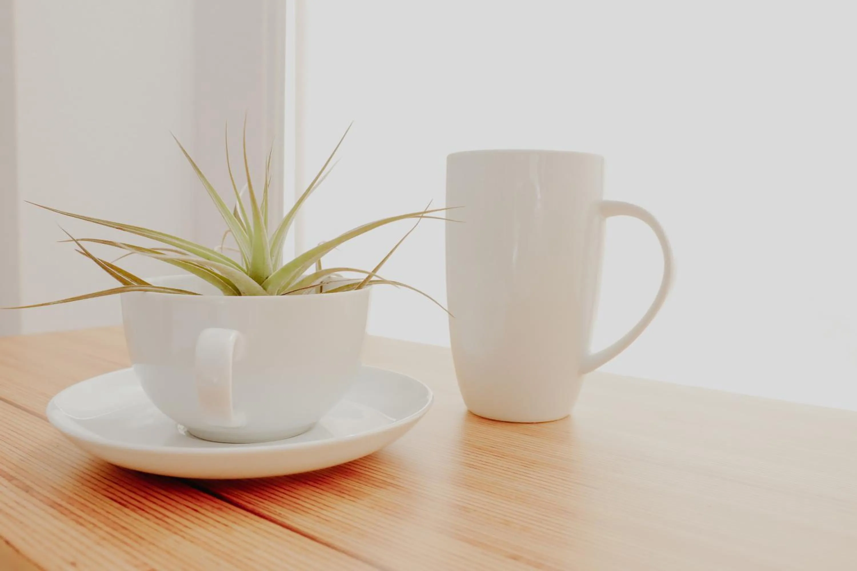 Decorative detail in Hotel Castillete