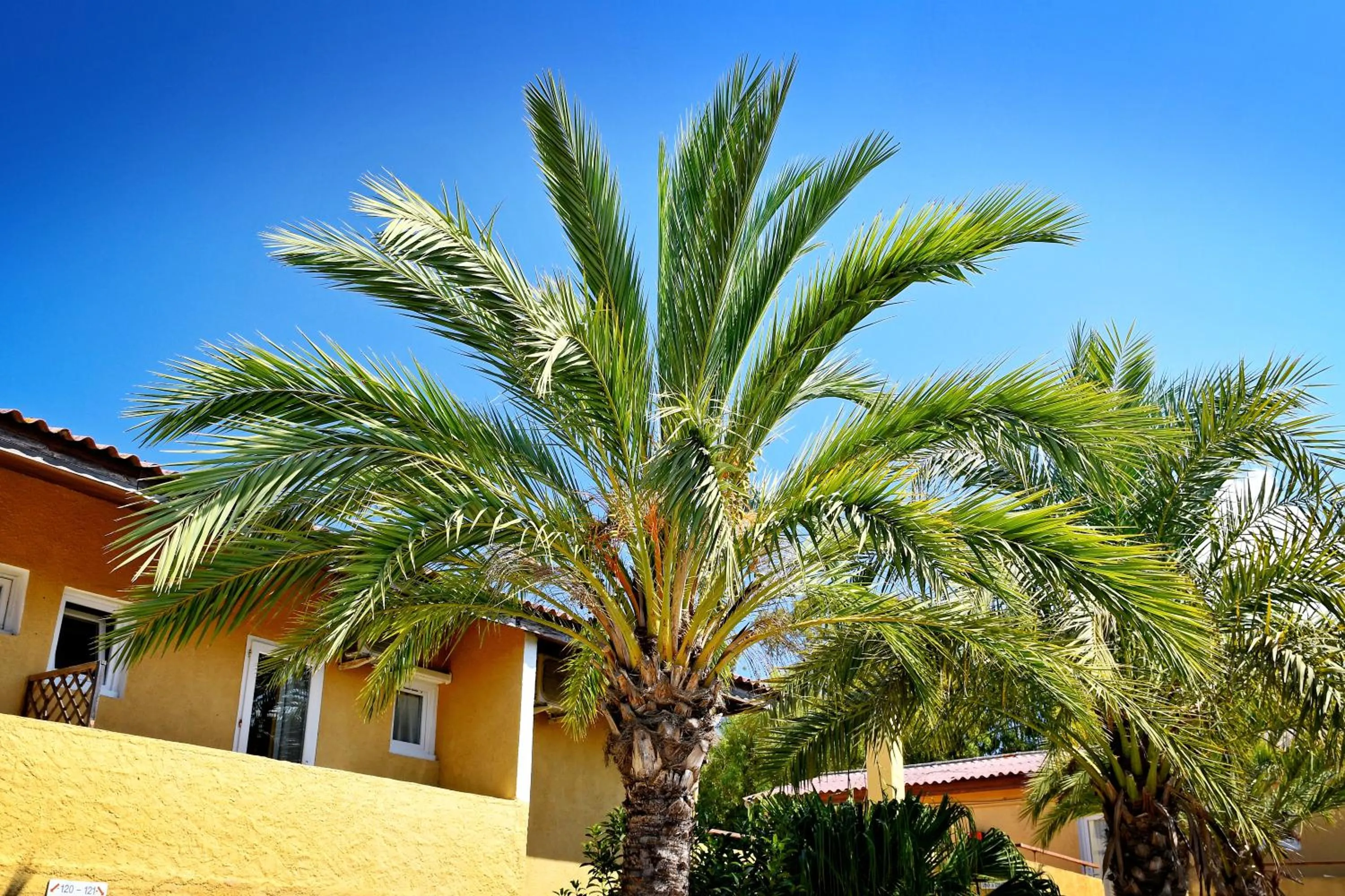 Property building in Résidence Les Castors