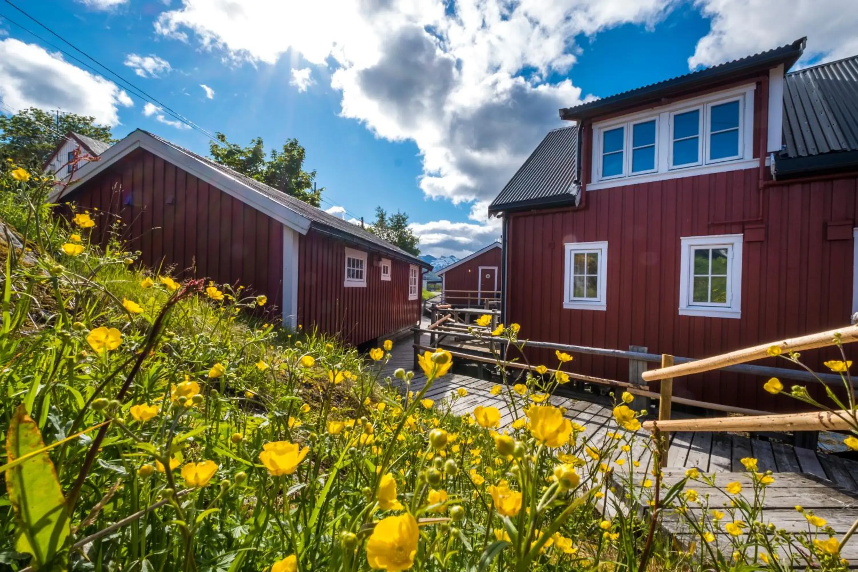 Facade/entrance in Svinøya Rorbuer Facade/entrance in Svinøya Rorbuer