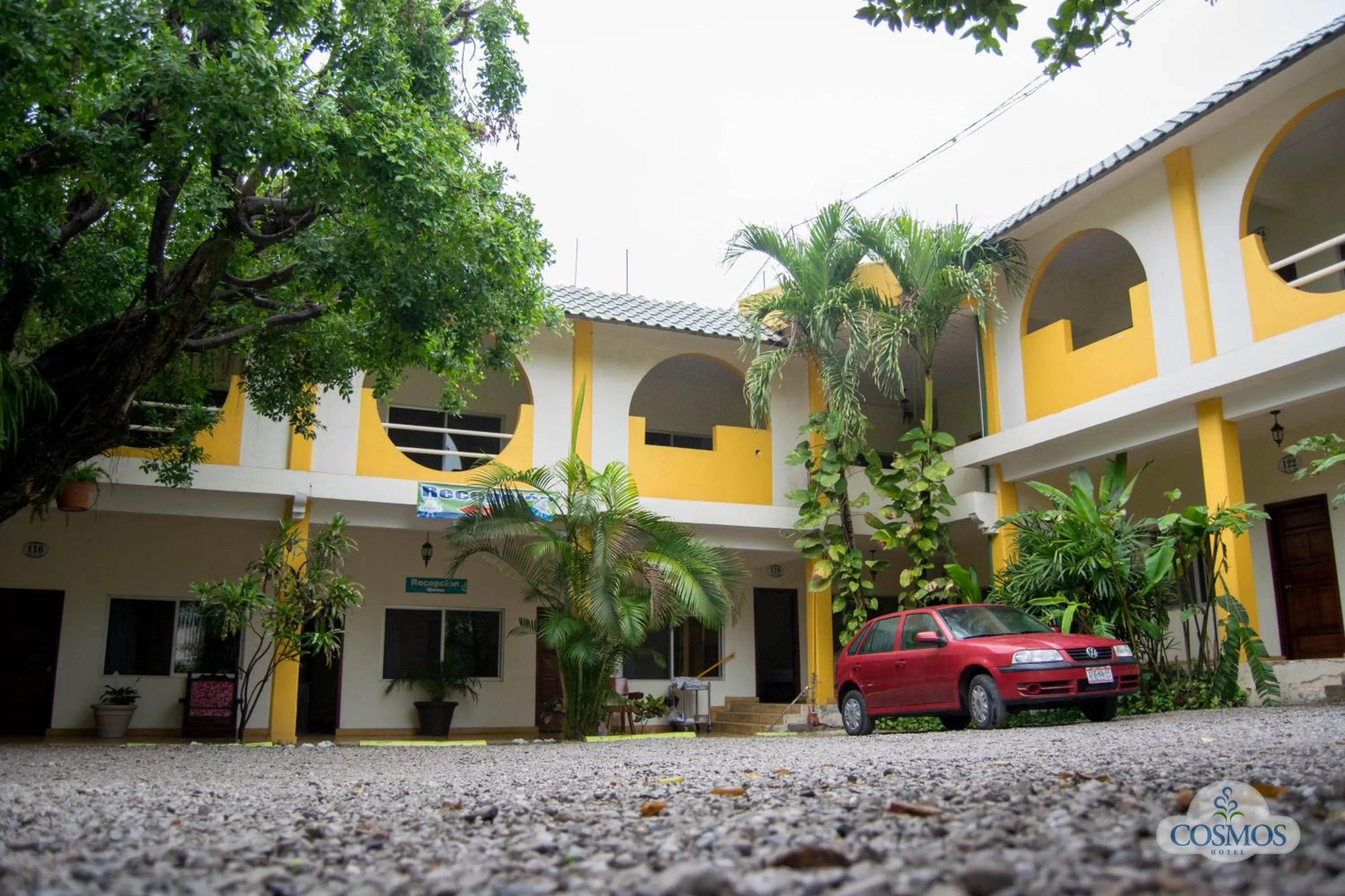 Patio in Hotel Cosmos