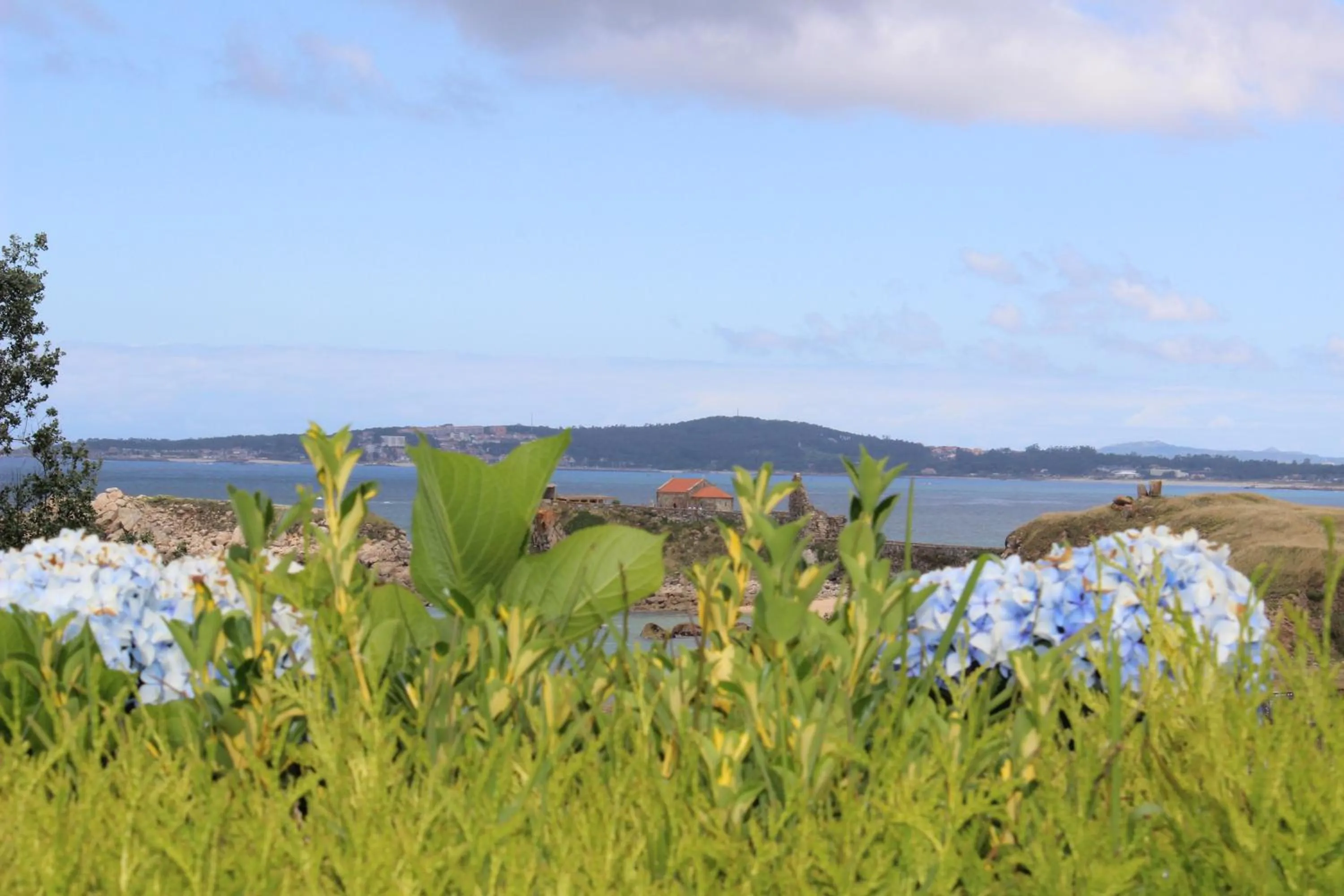 Facade/entrance in Hotel Estrella del Mar