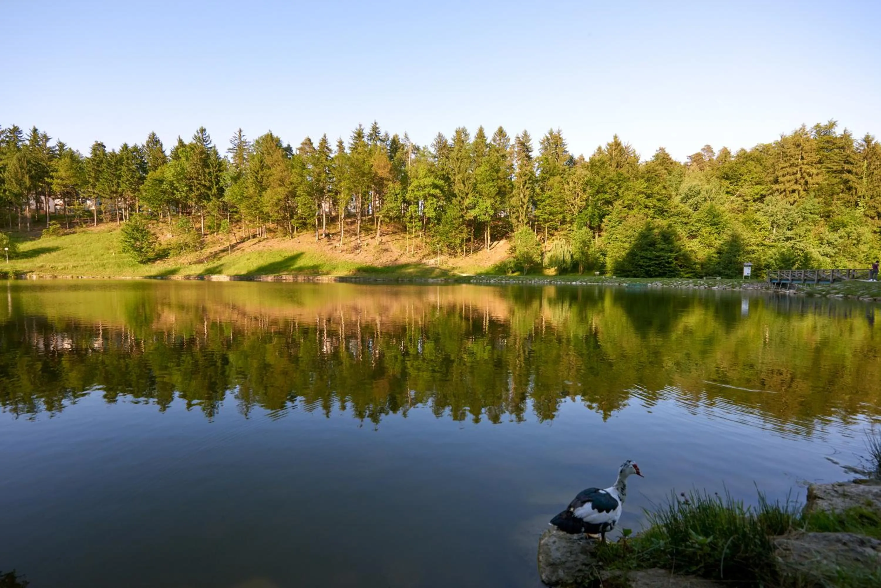 Natural landscape in Terme Zreče – Hotel Atrij
