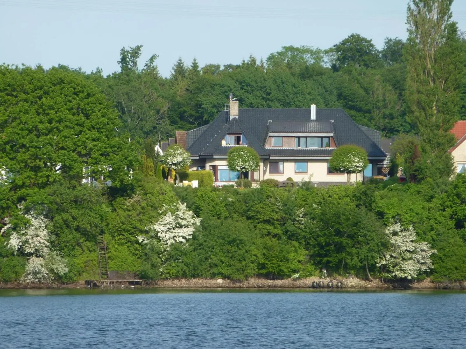 Fischreiher 2