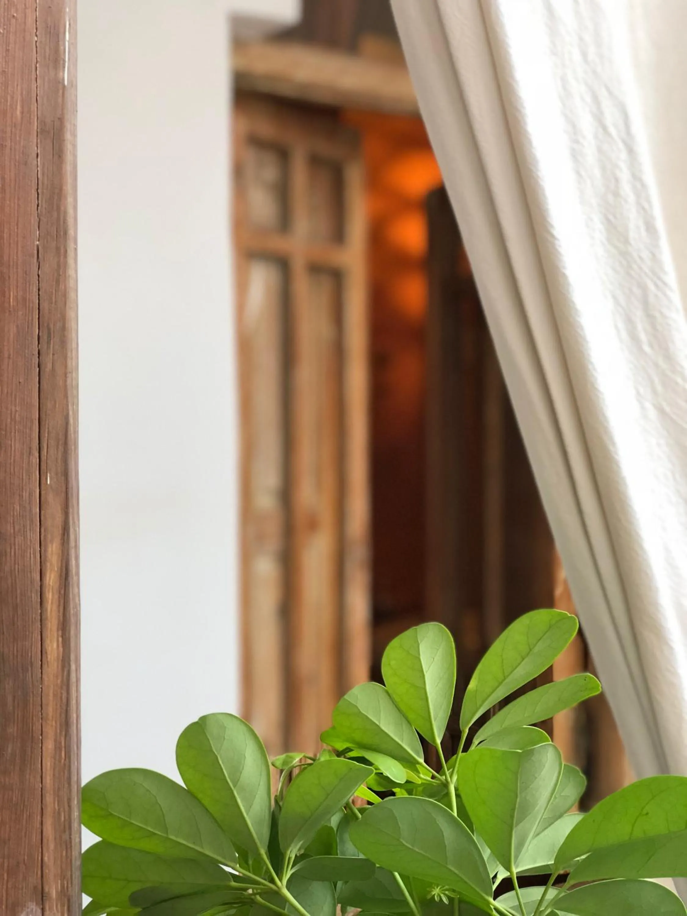 Decorative detail in Riad Le Coq Berbère