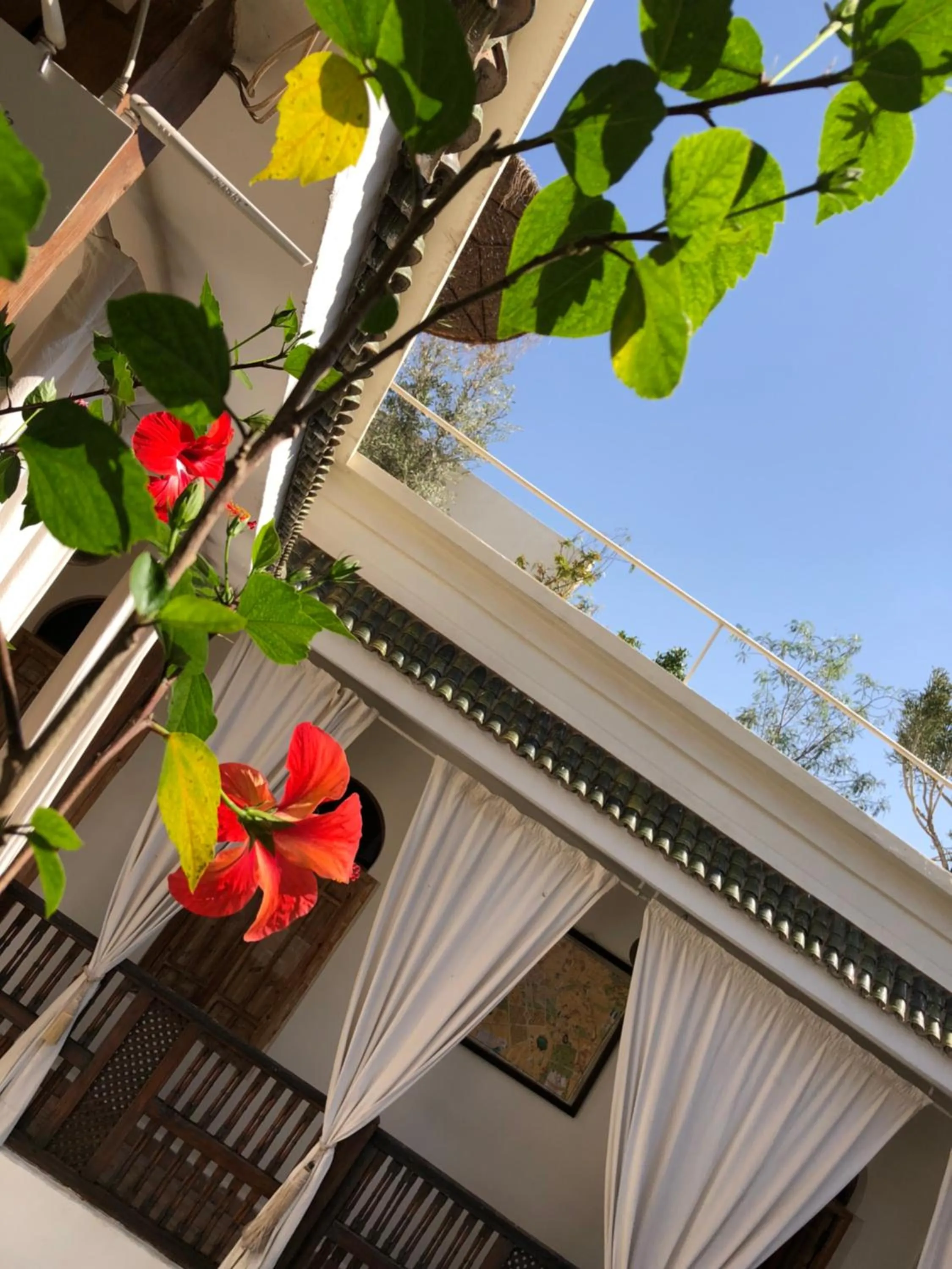 Balcony/Terrace in Riad Le Coq Berbère