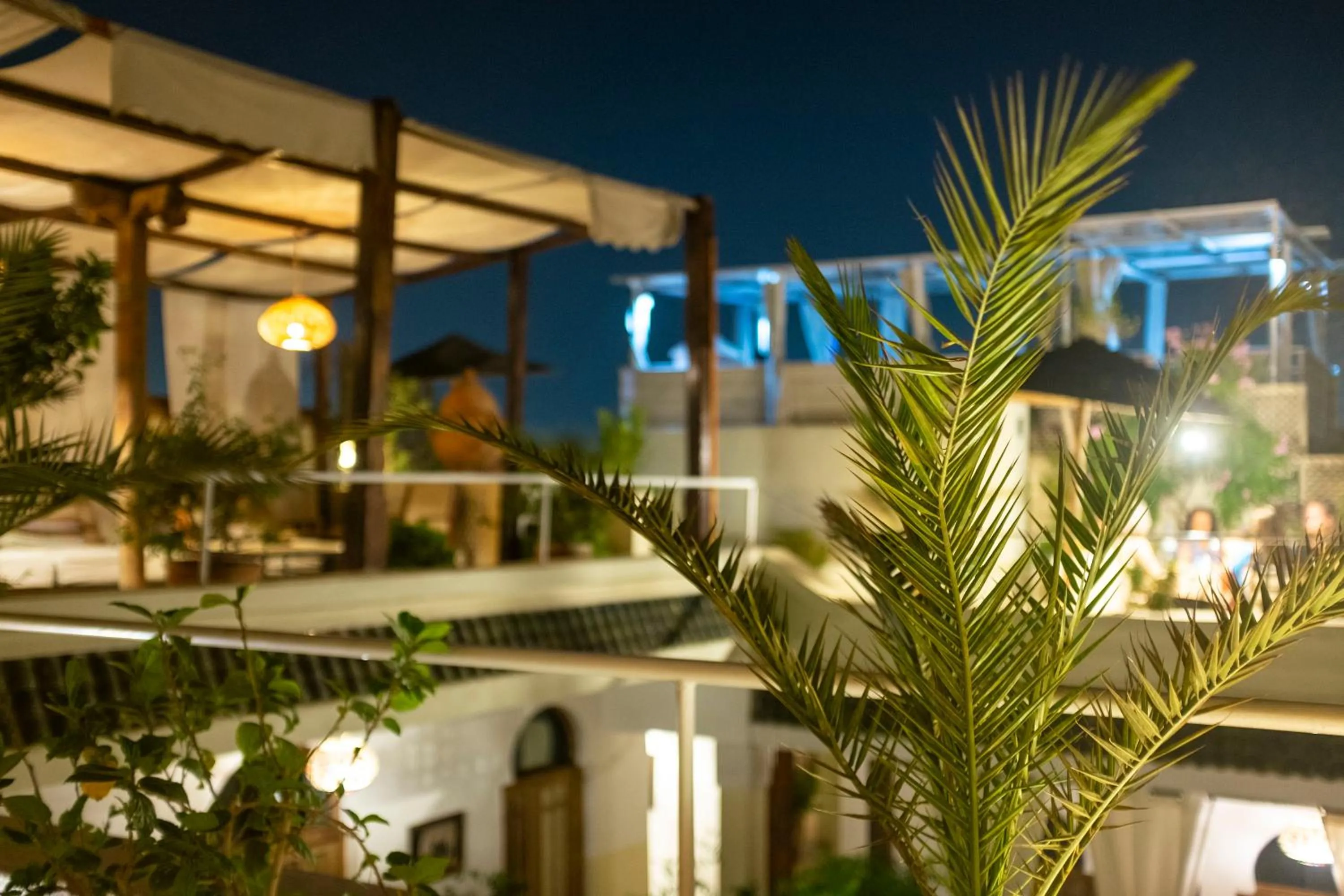 Night in Riad Le Coq Berbère